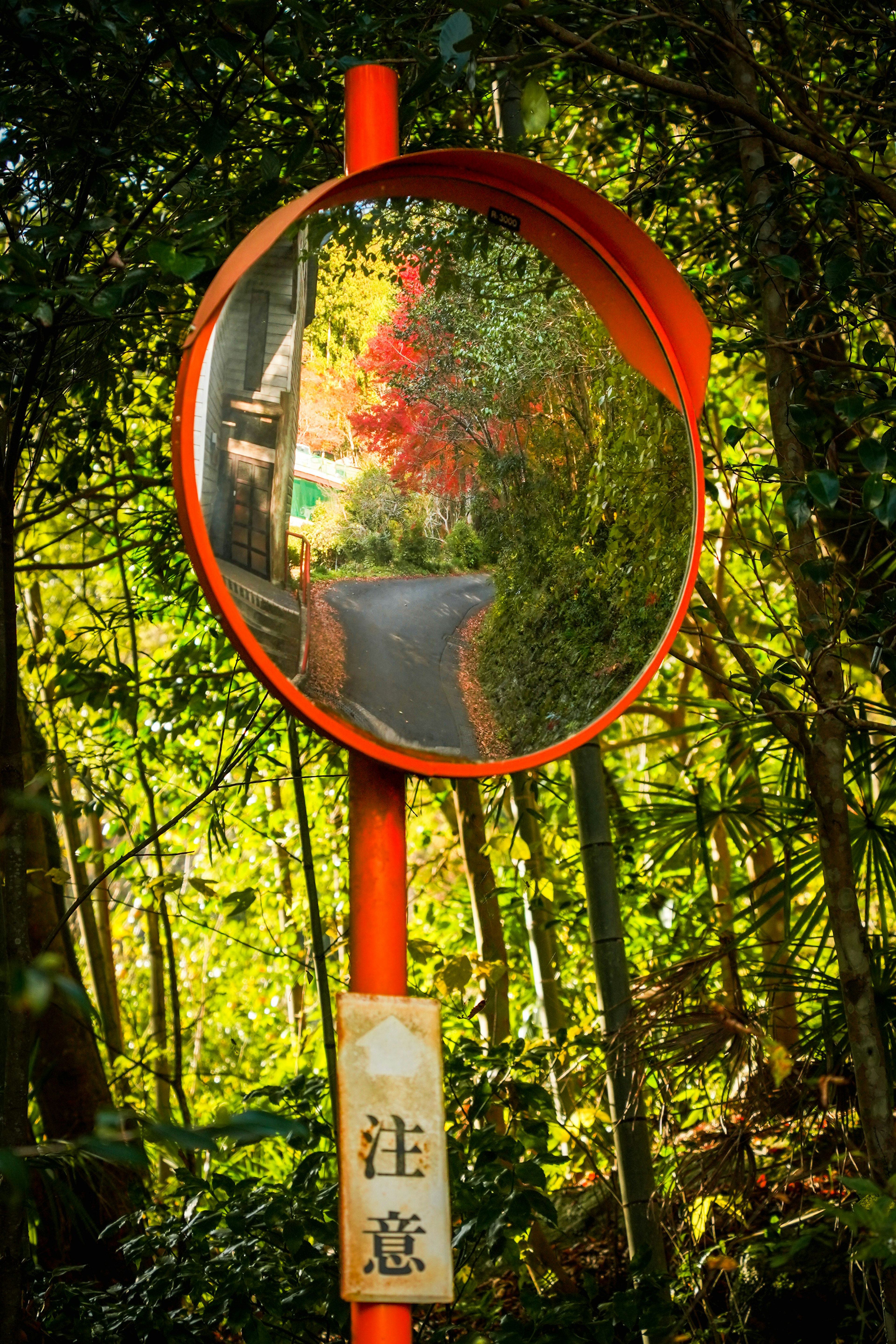 Red convex mirror reflecting a winding road surrounded by lush greenery