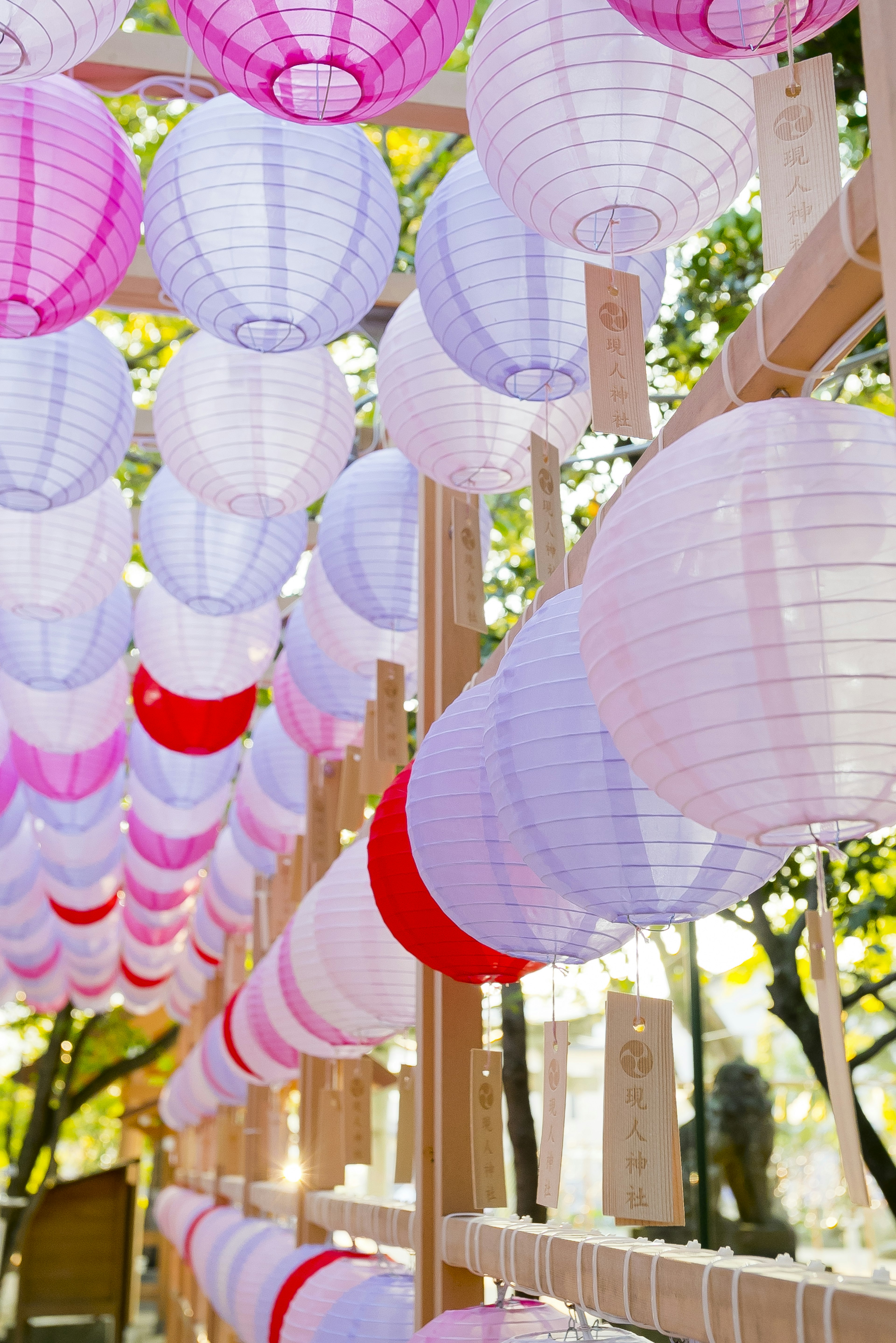 Colorful paper lanterns hanging in a vibrant setting