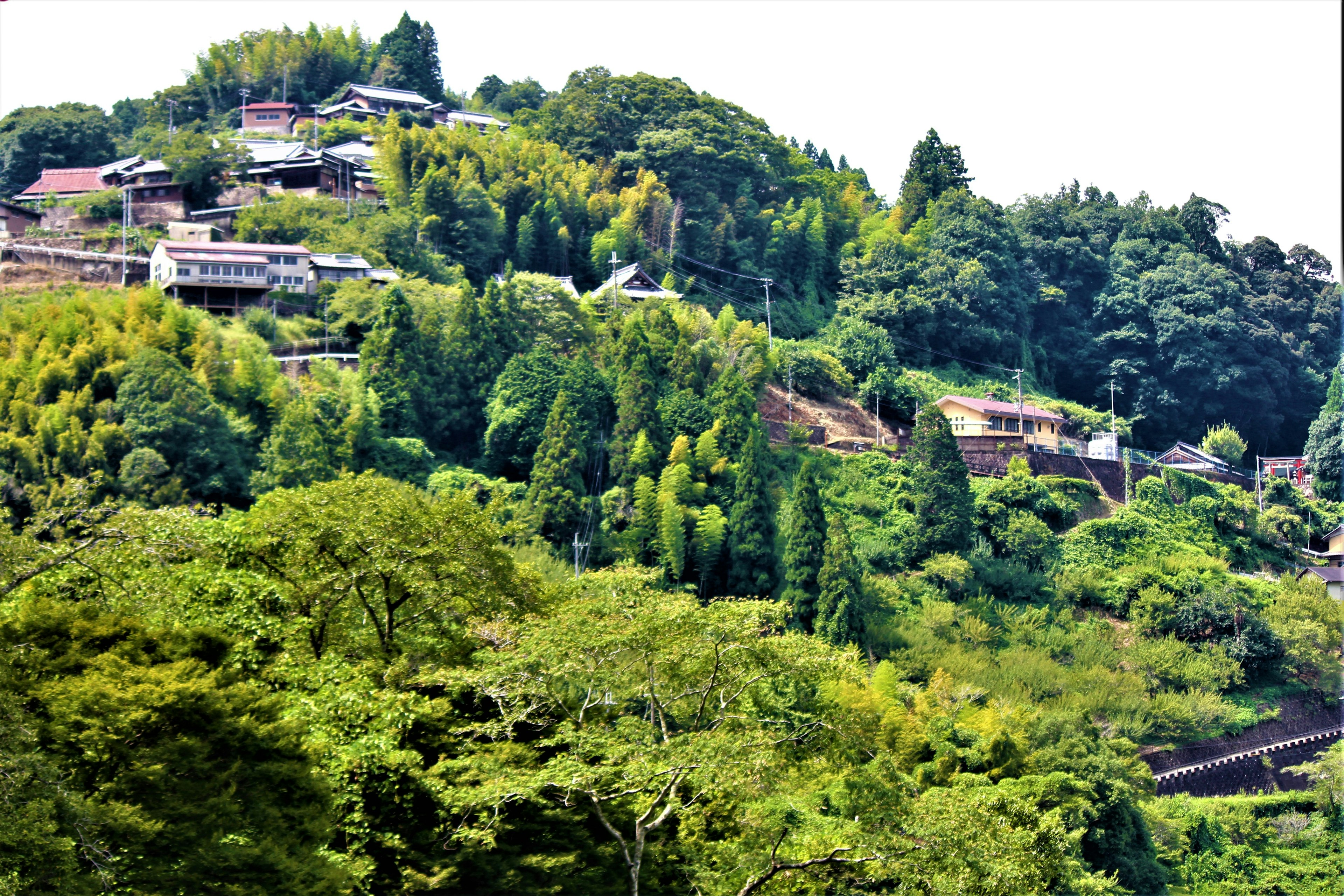 綠意盎然的山坡上散佈著房屋的風景