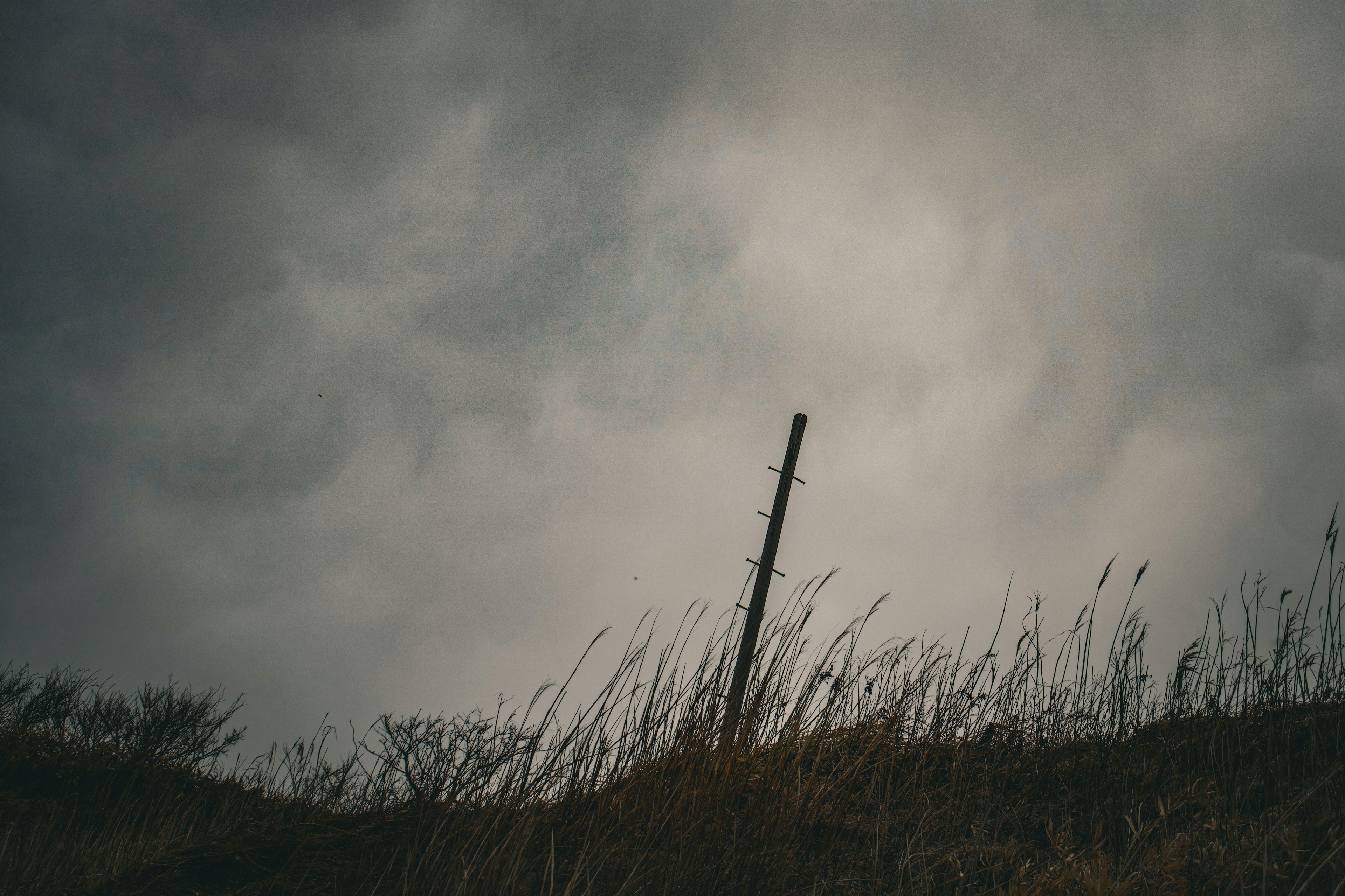 Ein einsamer Pfahl vor einem düsteren Himmel mit dunklen Wolken und hohem Gras