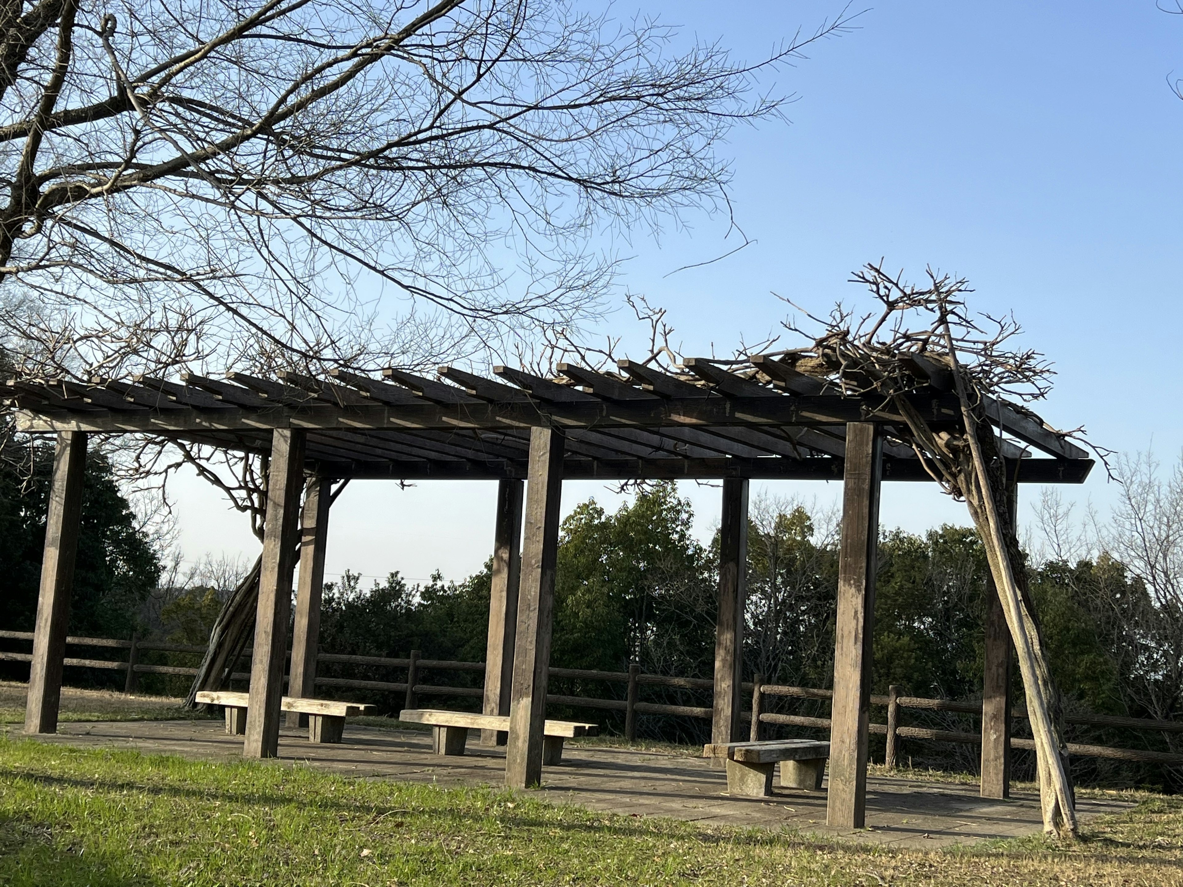 Pergola kayu di taman dikelilingi oleh alam