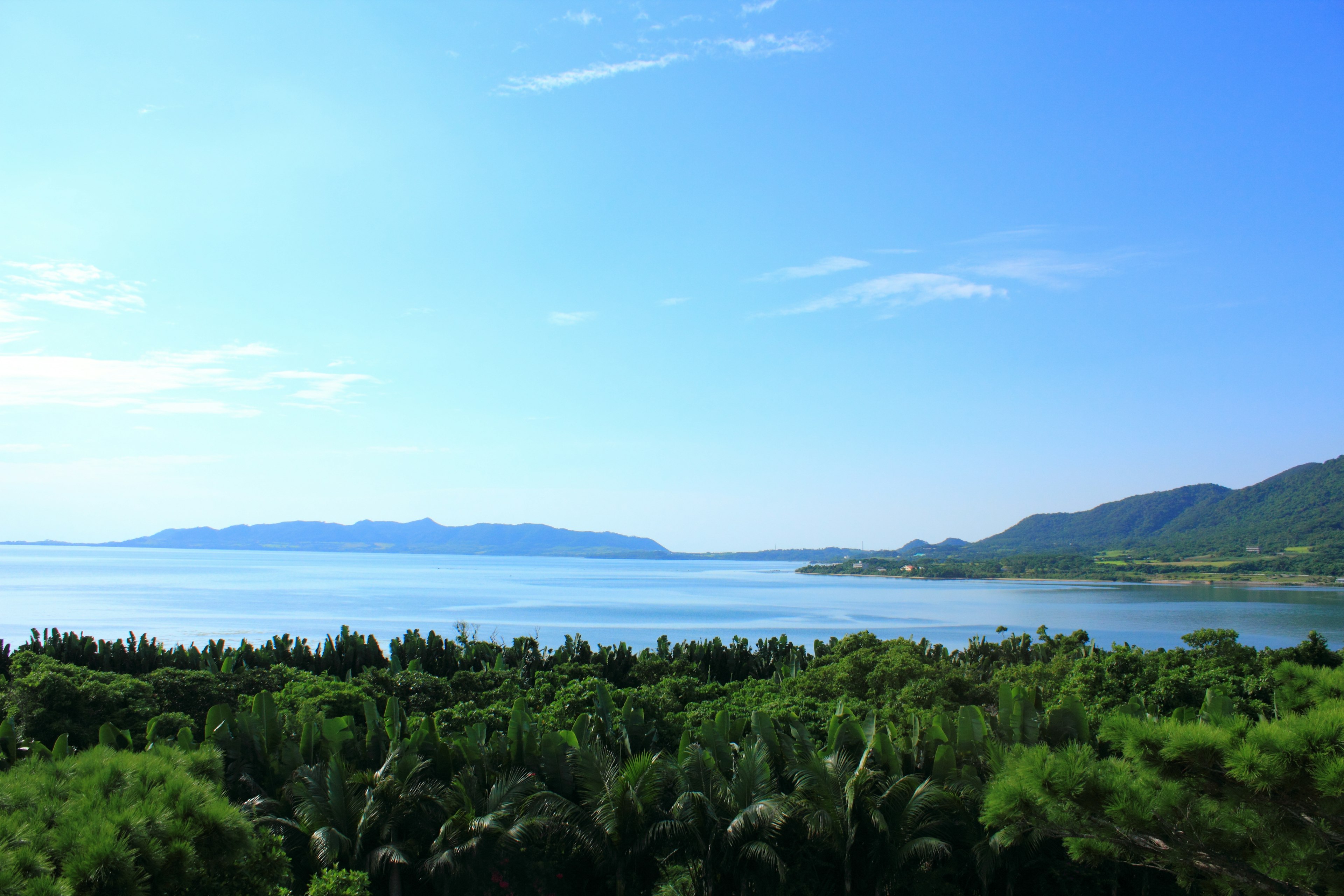 青い空と海に囲まれた緑豊かな風景のパノラマ