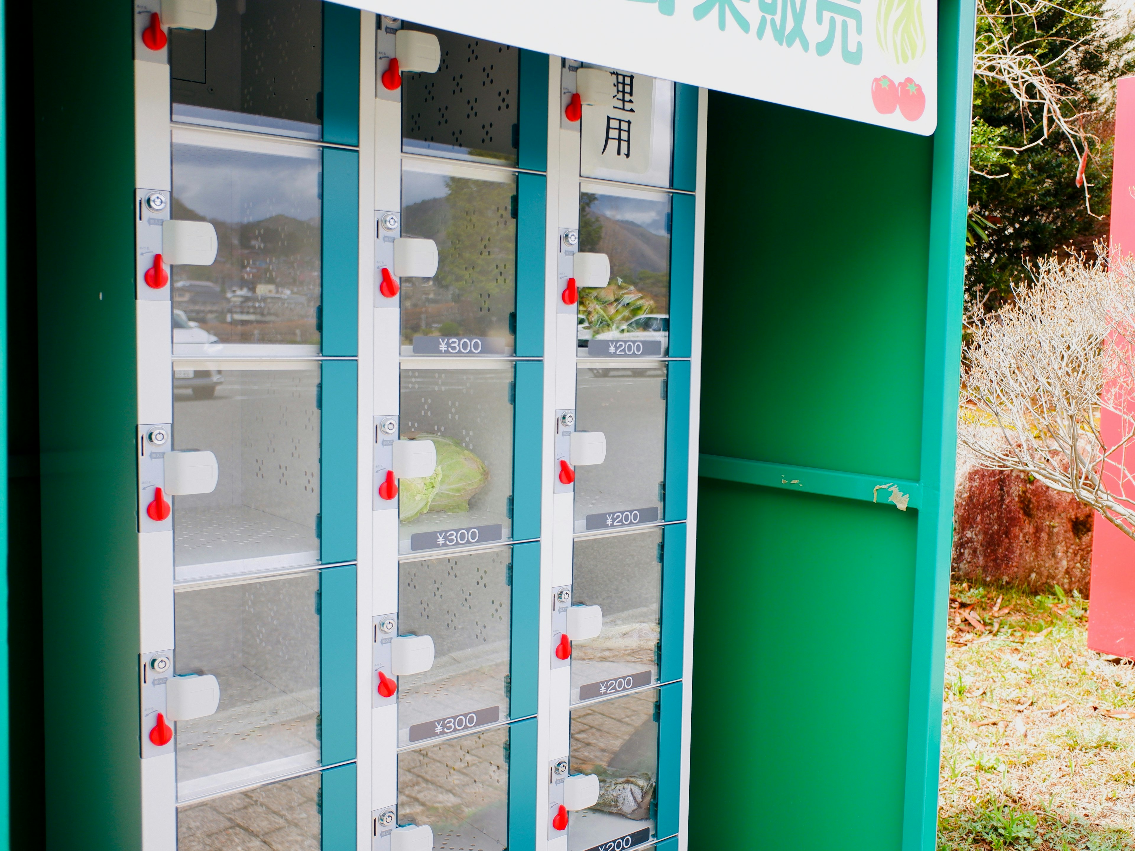 Exterior view of a locker with a distinctive green and white design