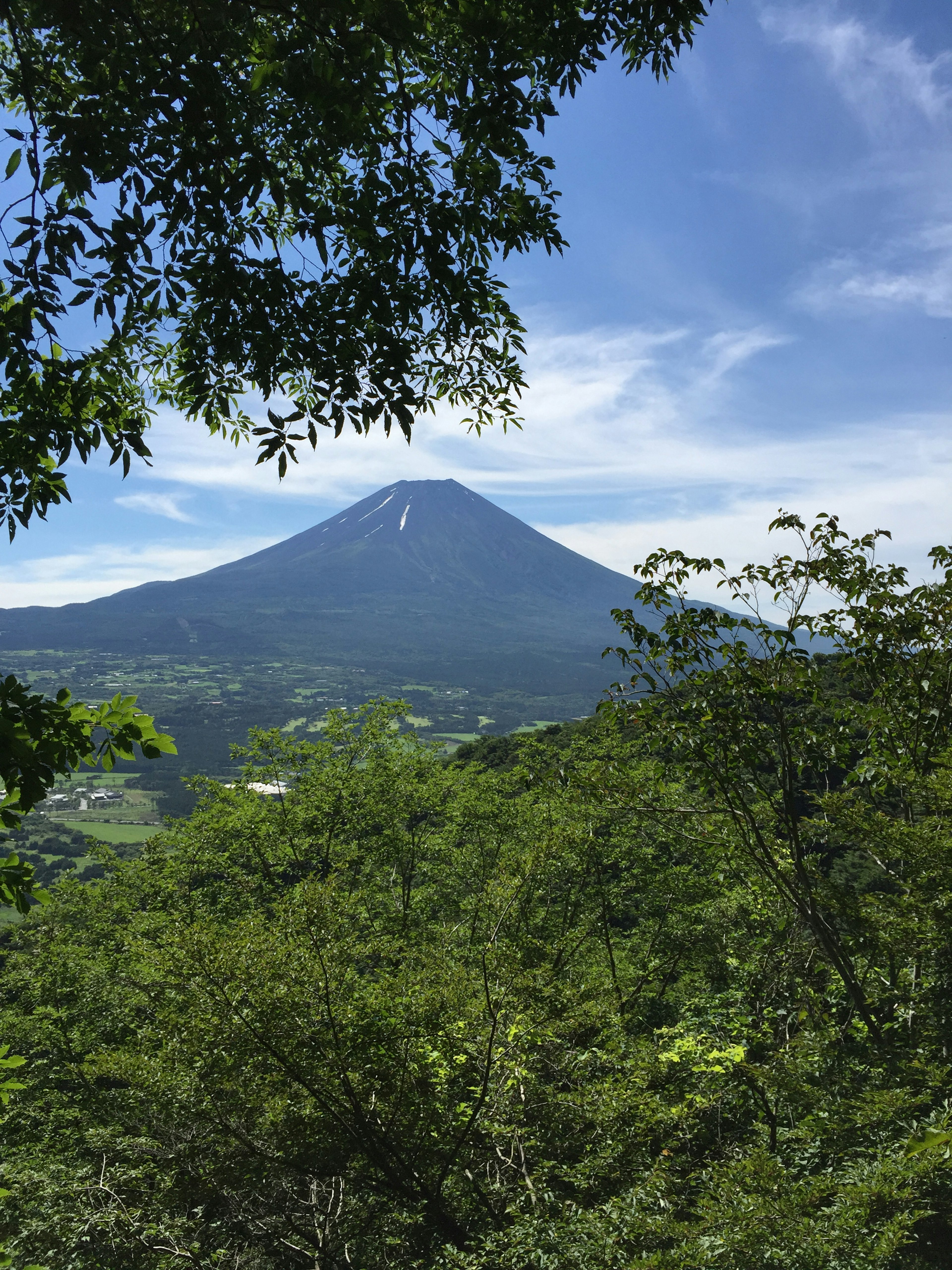 Vue de la montagne encadrée par une végétation luxuriante et un ciel bleu