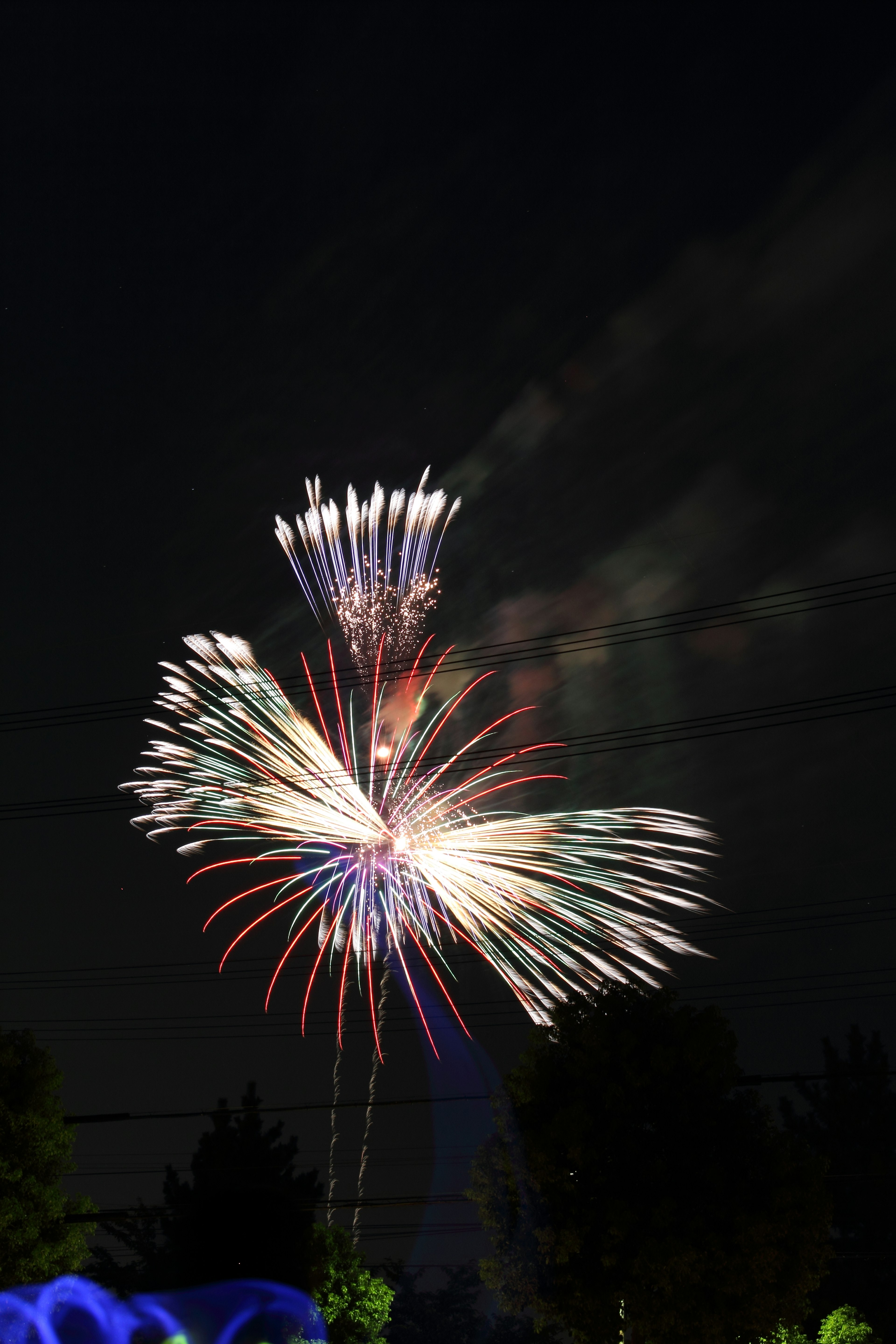 Colorful fireworks bursting in the night sky