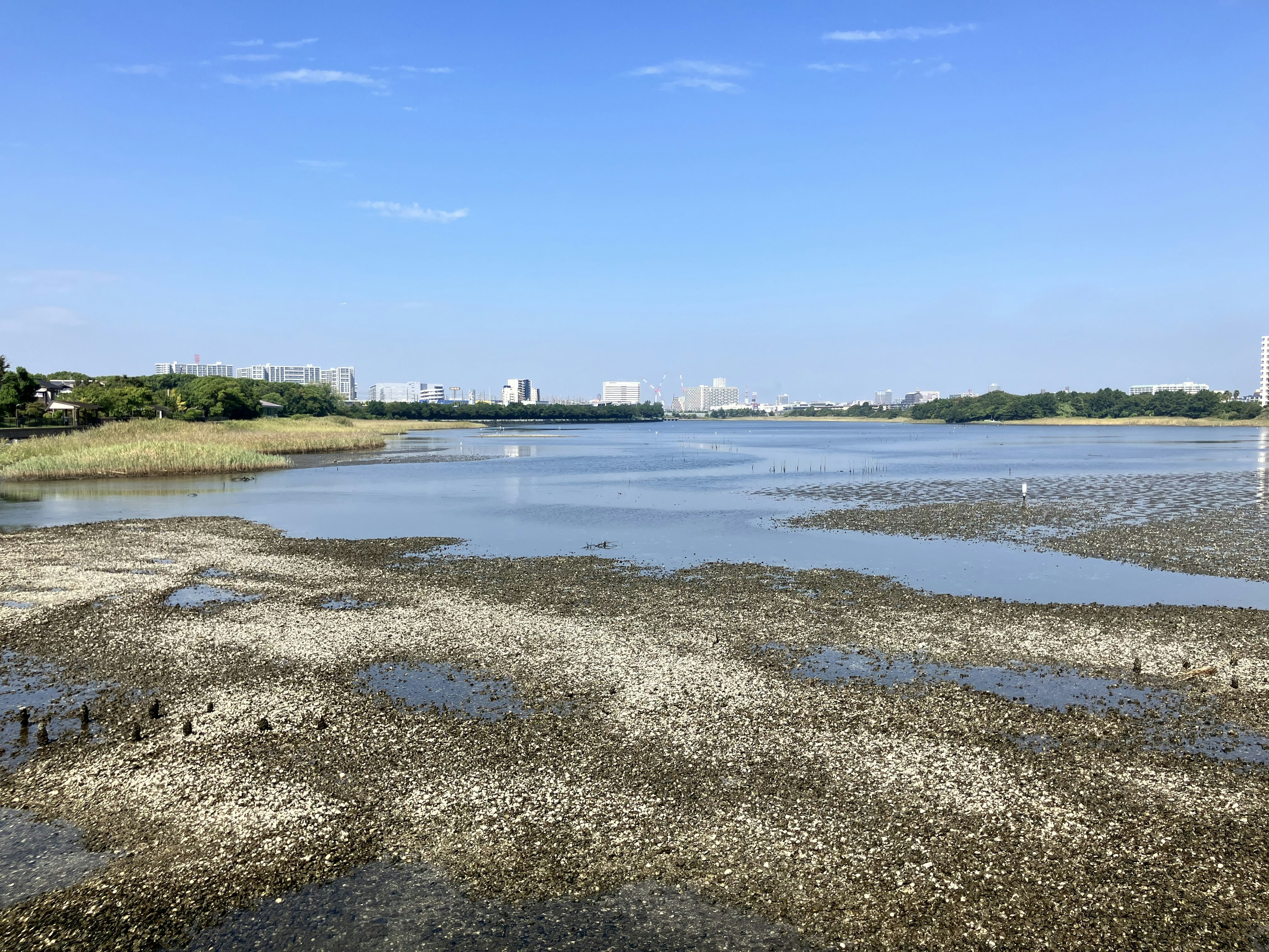 Paesaggio con una superficie d'acqua calma sotto un cielo blu