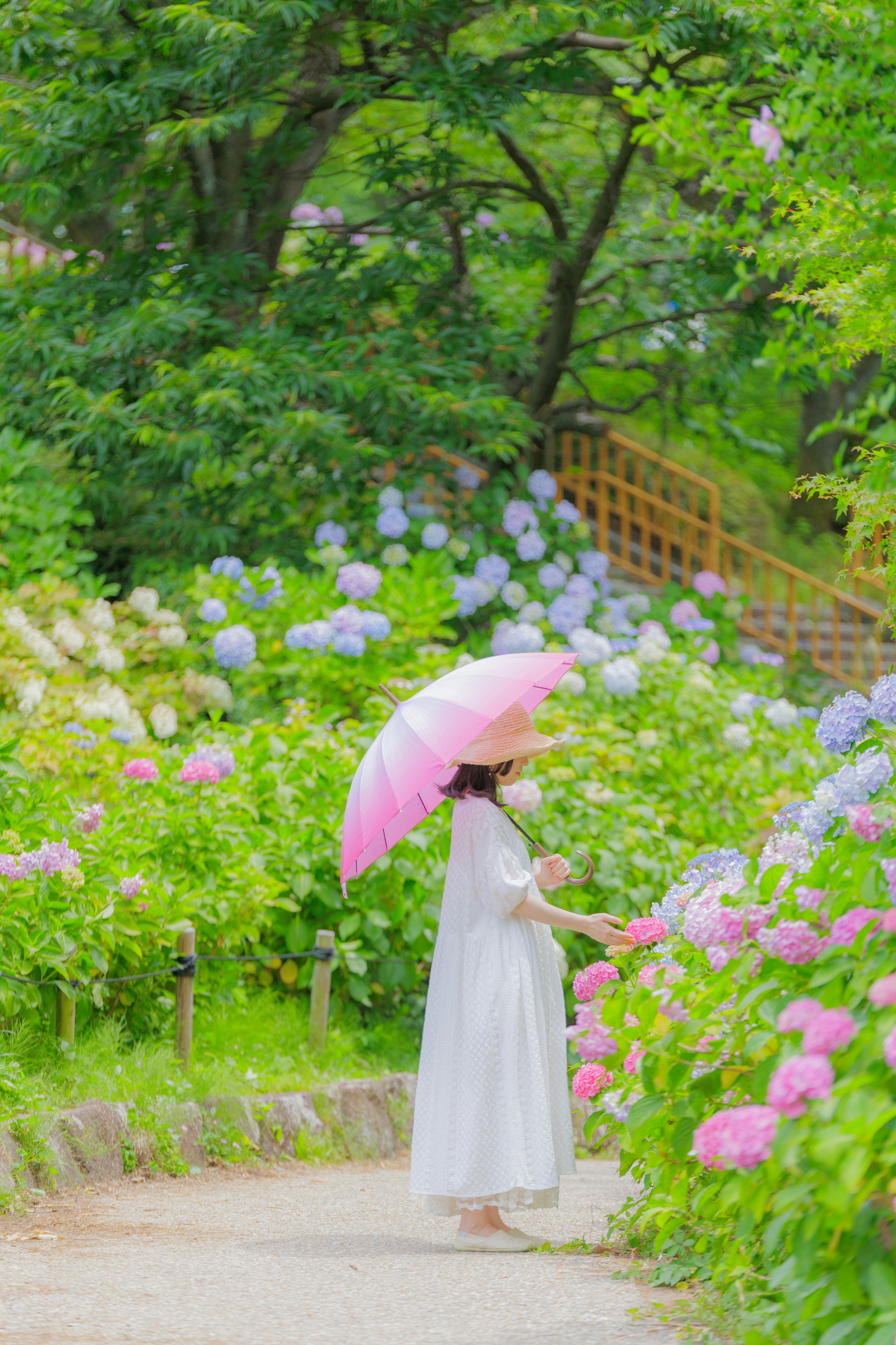 白いドレスを着た女性がピンクの傘を持ち hydrangea の花の間を歩いている