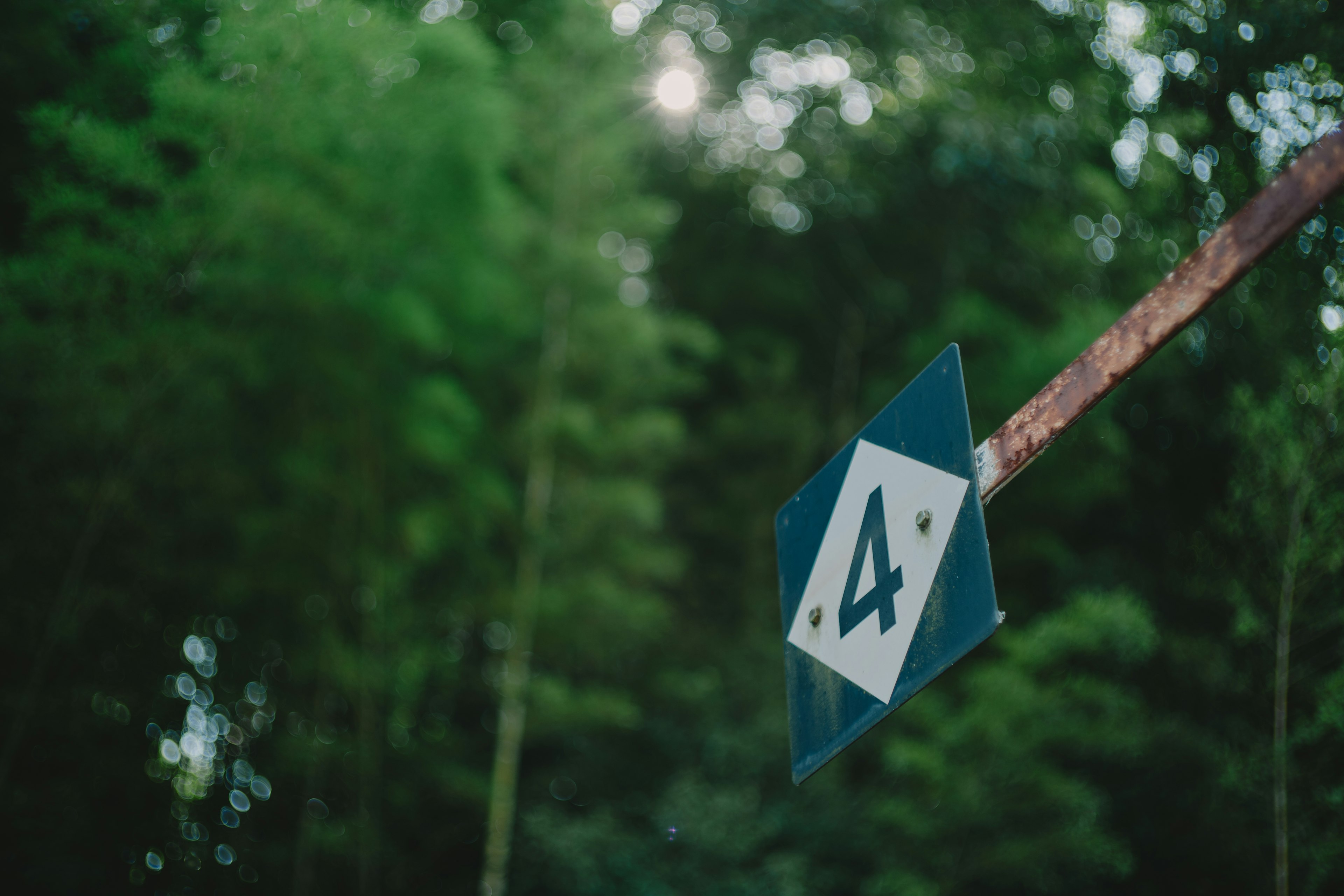 A blue sign with the number 4 in a forest setting