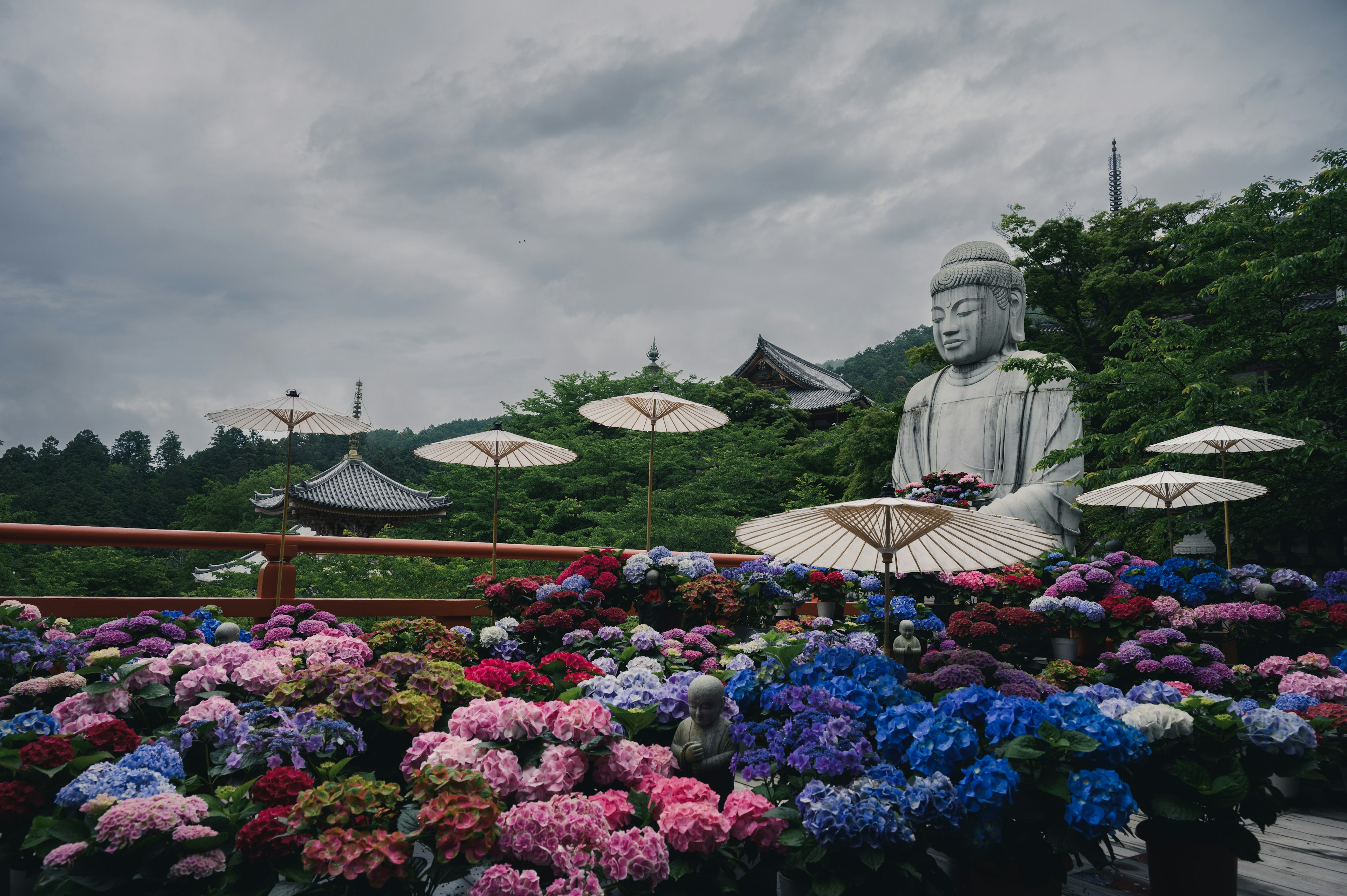 Eine ruhige Szene mit einer großen Buddha-Statue, umgeben von lebhaften Blumen und Sonnenschirmen