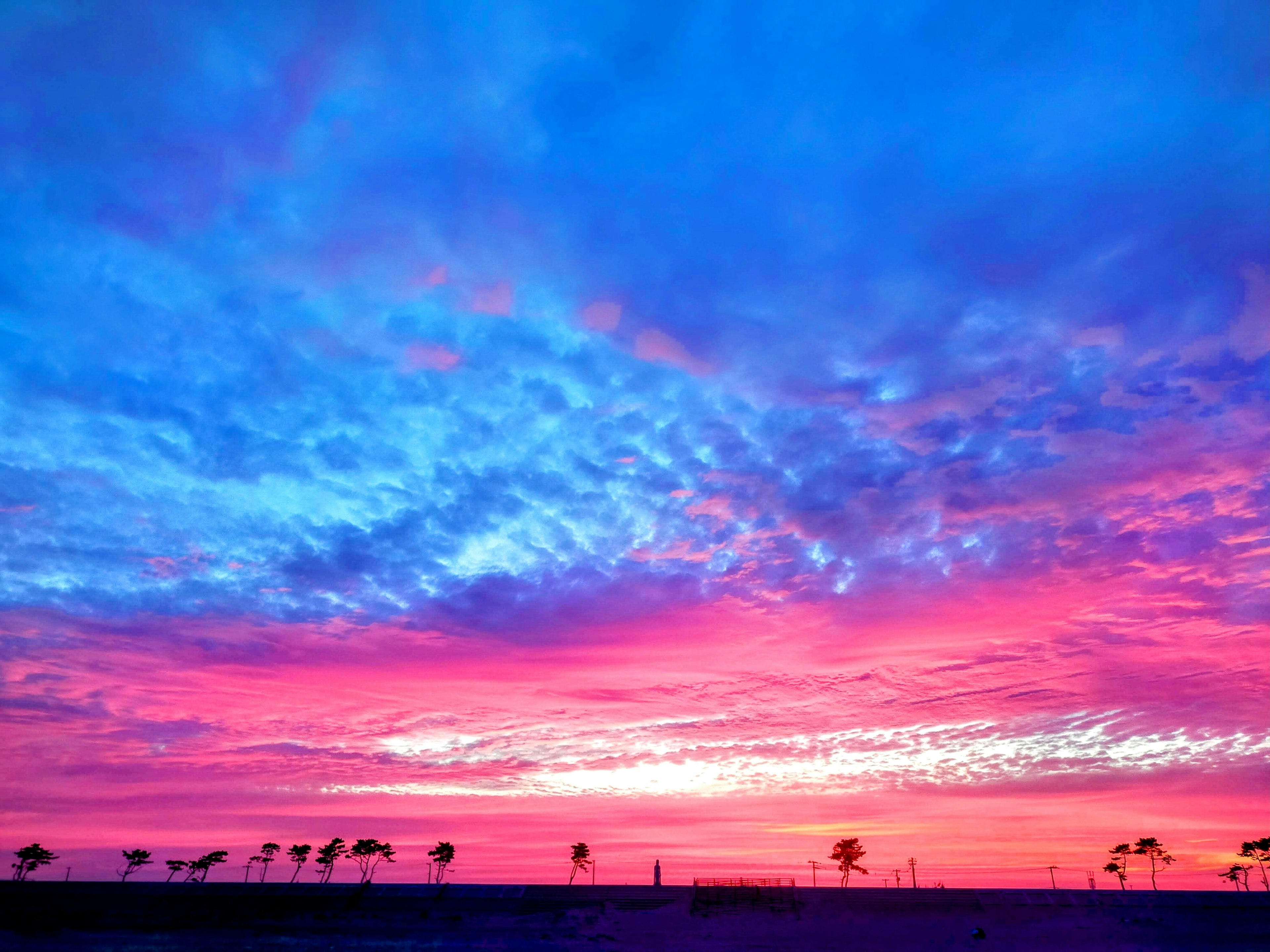 Cielo de atardecer vibrante con tonos de azul y nubes rosadas silueteando árboles