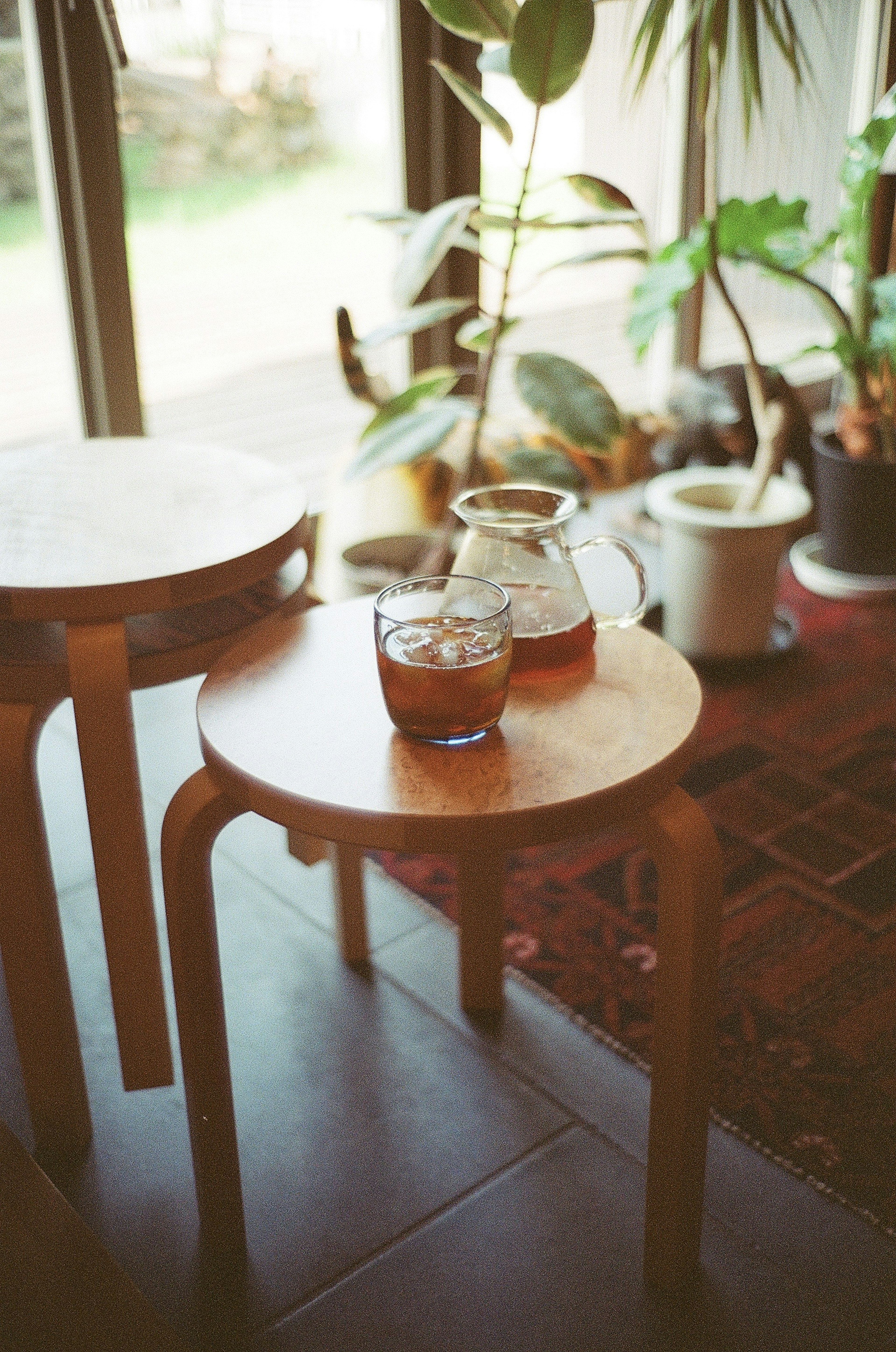 Table en bois avec un verre et un pot de boisson entourés de plantes dans un salon ensoleillé