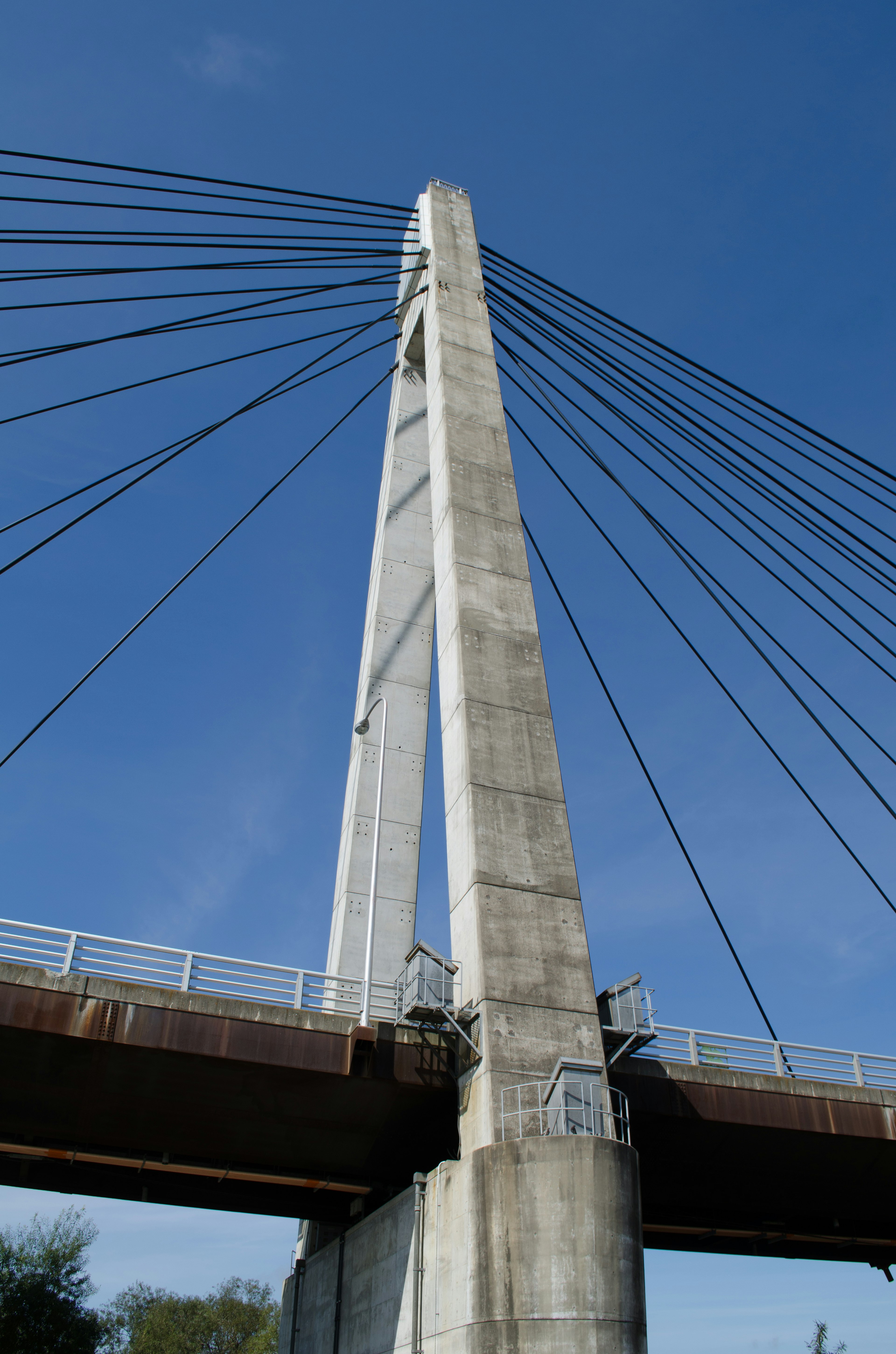 Structure en béton d'un pont à haubans avec un support élevé