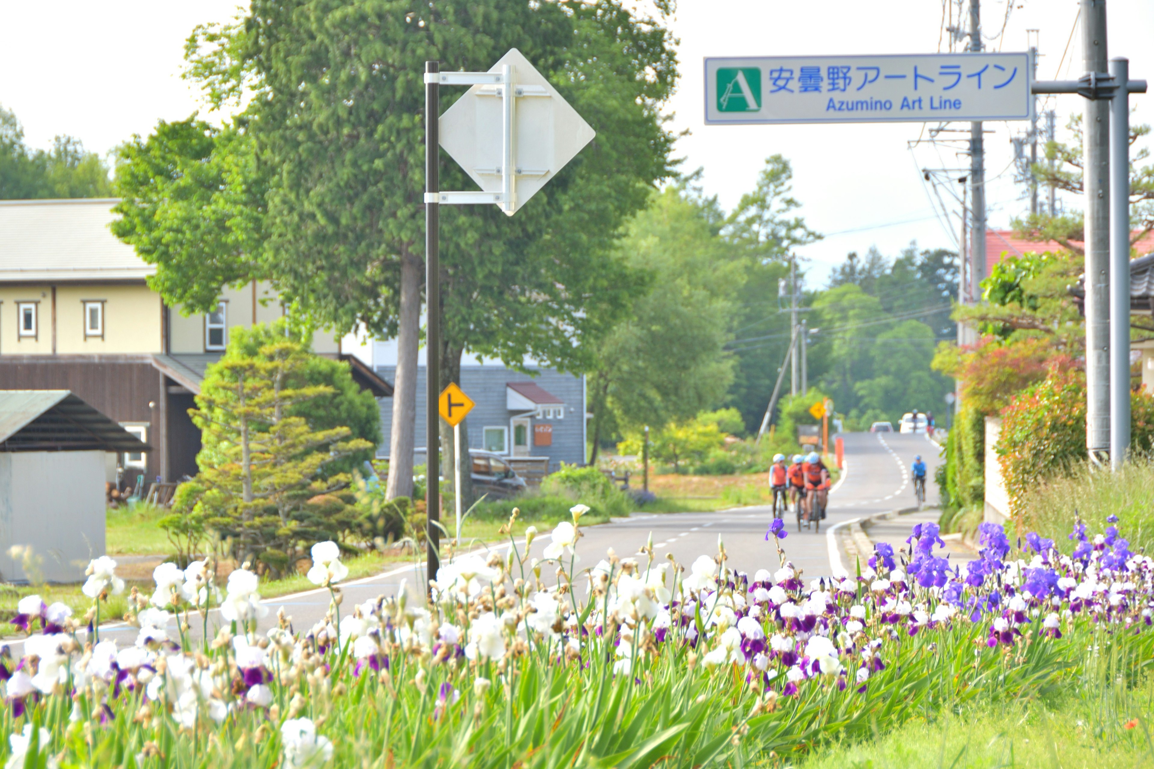 Scenic road with blooming flowers and directional sign