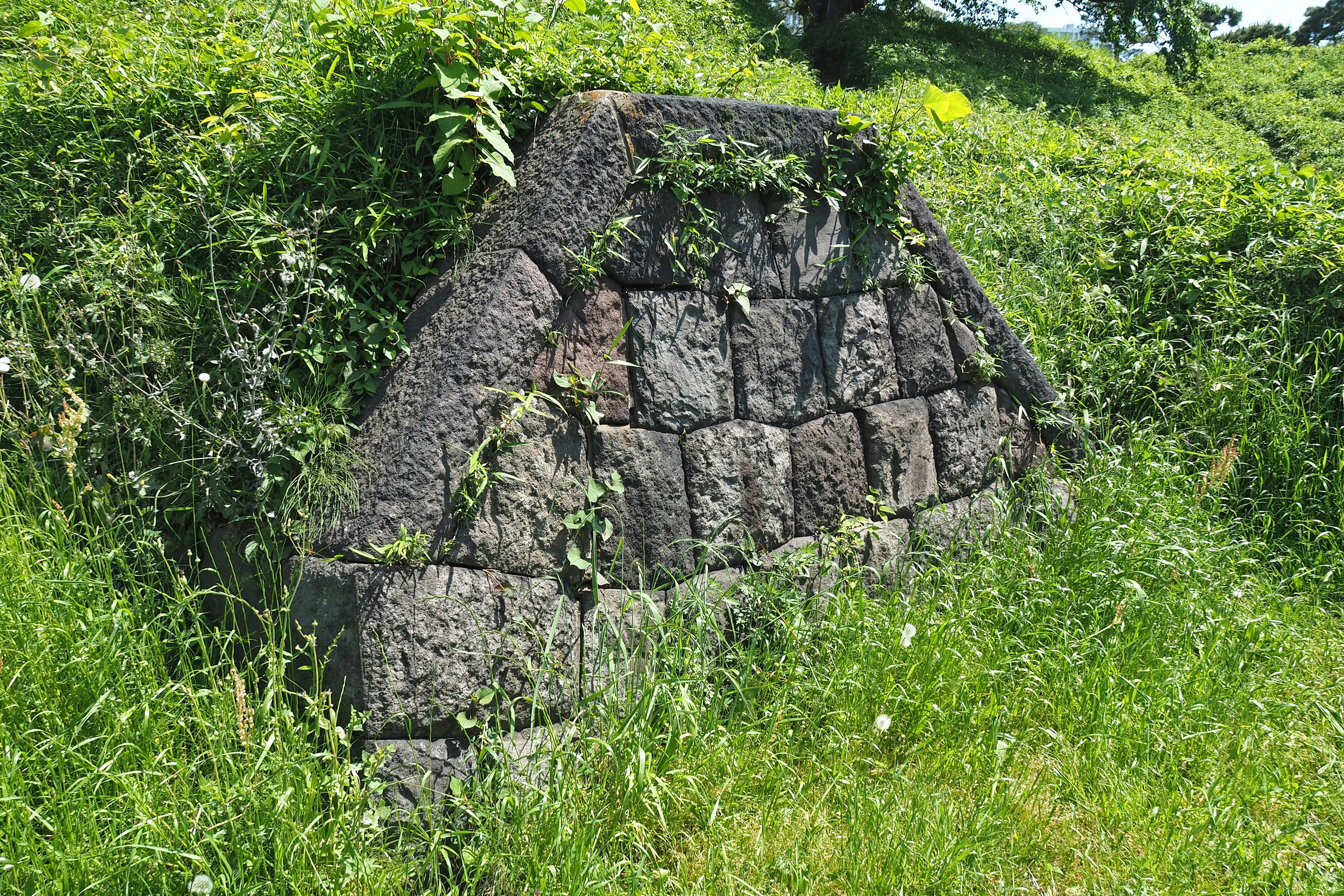 Teil einer alten Steinmauer, die mit Gras bedeckt ist