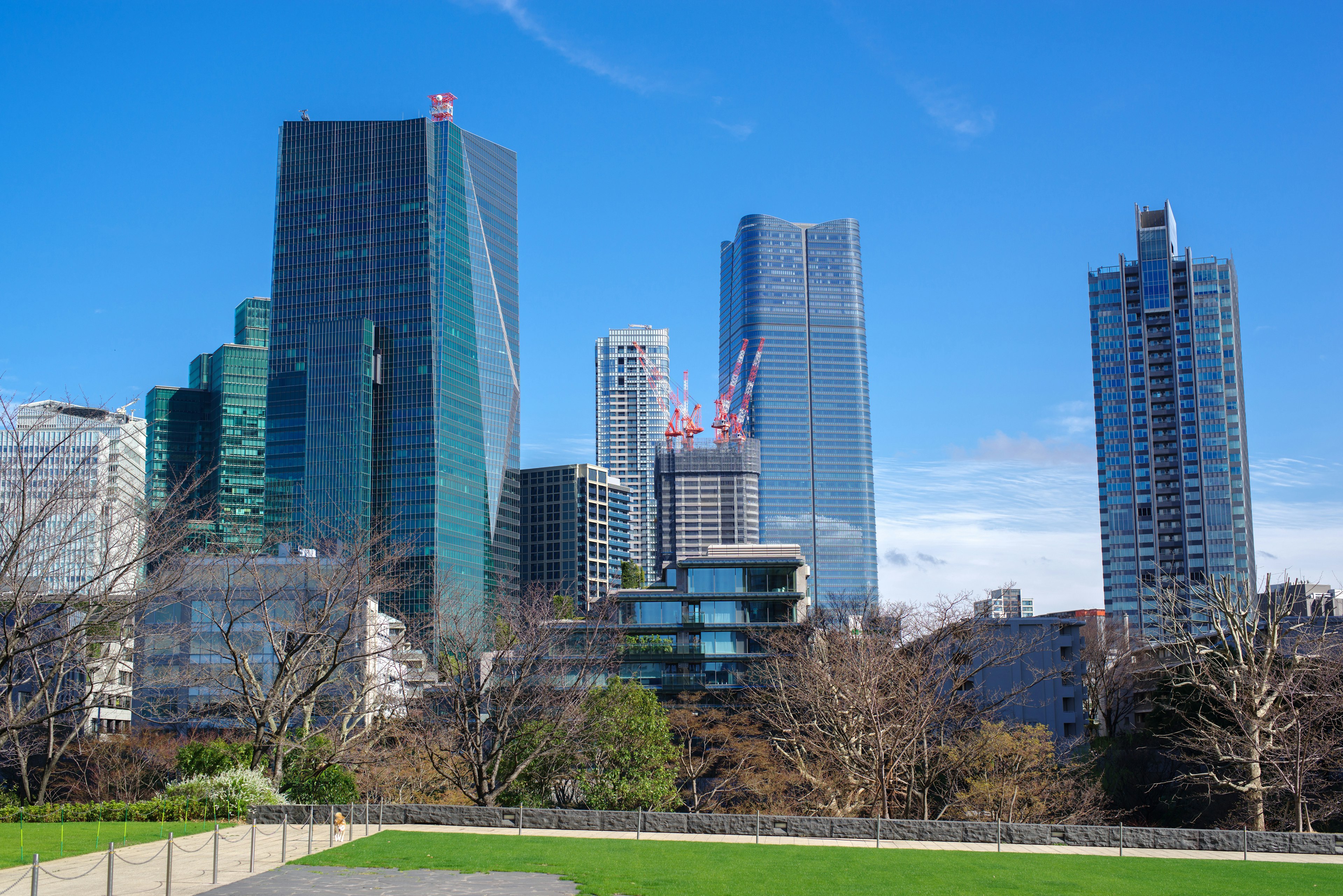 城市景觀，摩天大樓在晴朗的藍天下，前景是綠色公園