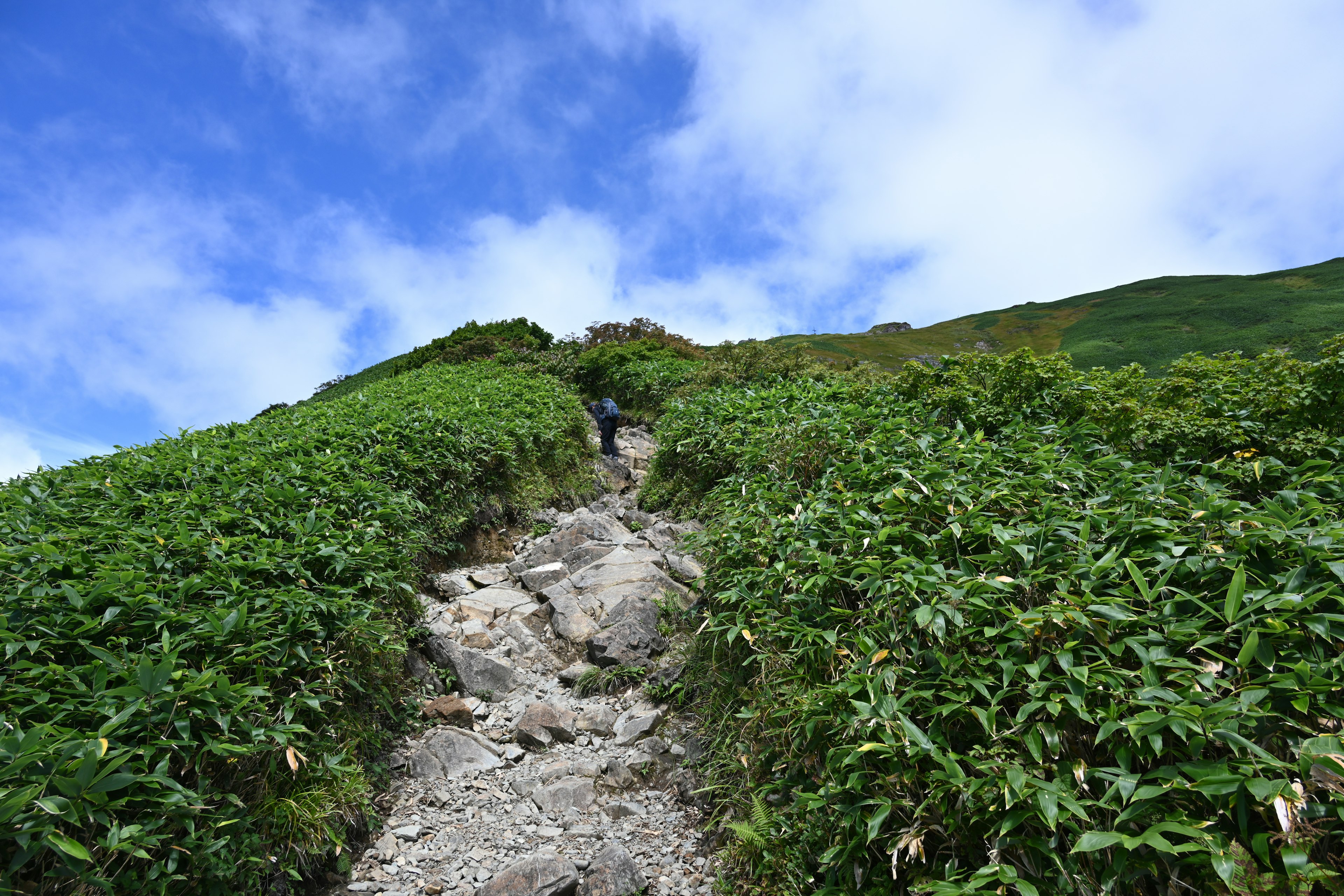 Senderista ascendiendo un sendero rocoso rodeado de vegetación exuberante