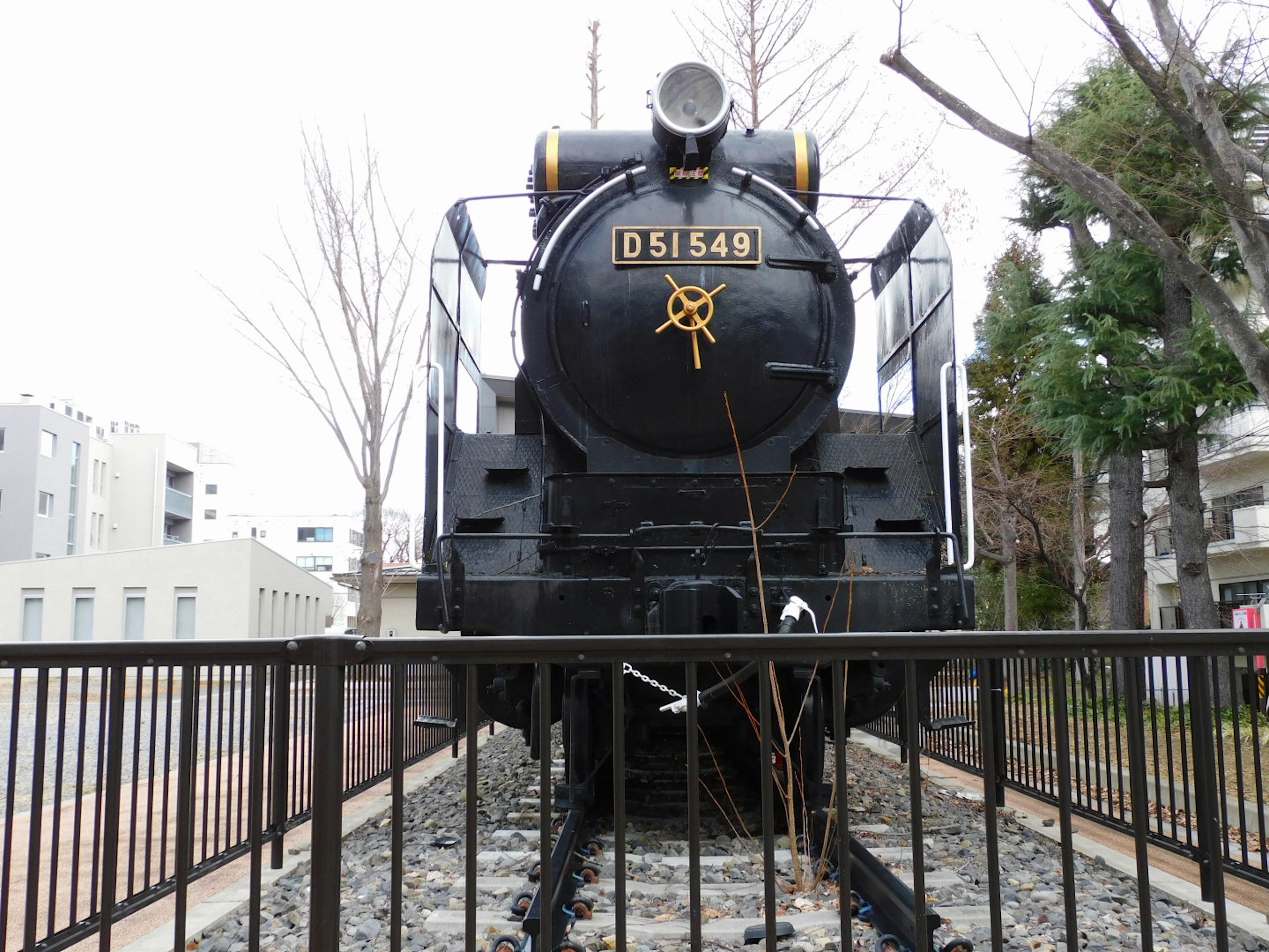 Black steam locomotive D5149 displayed in a park setting