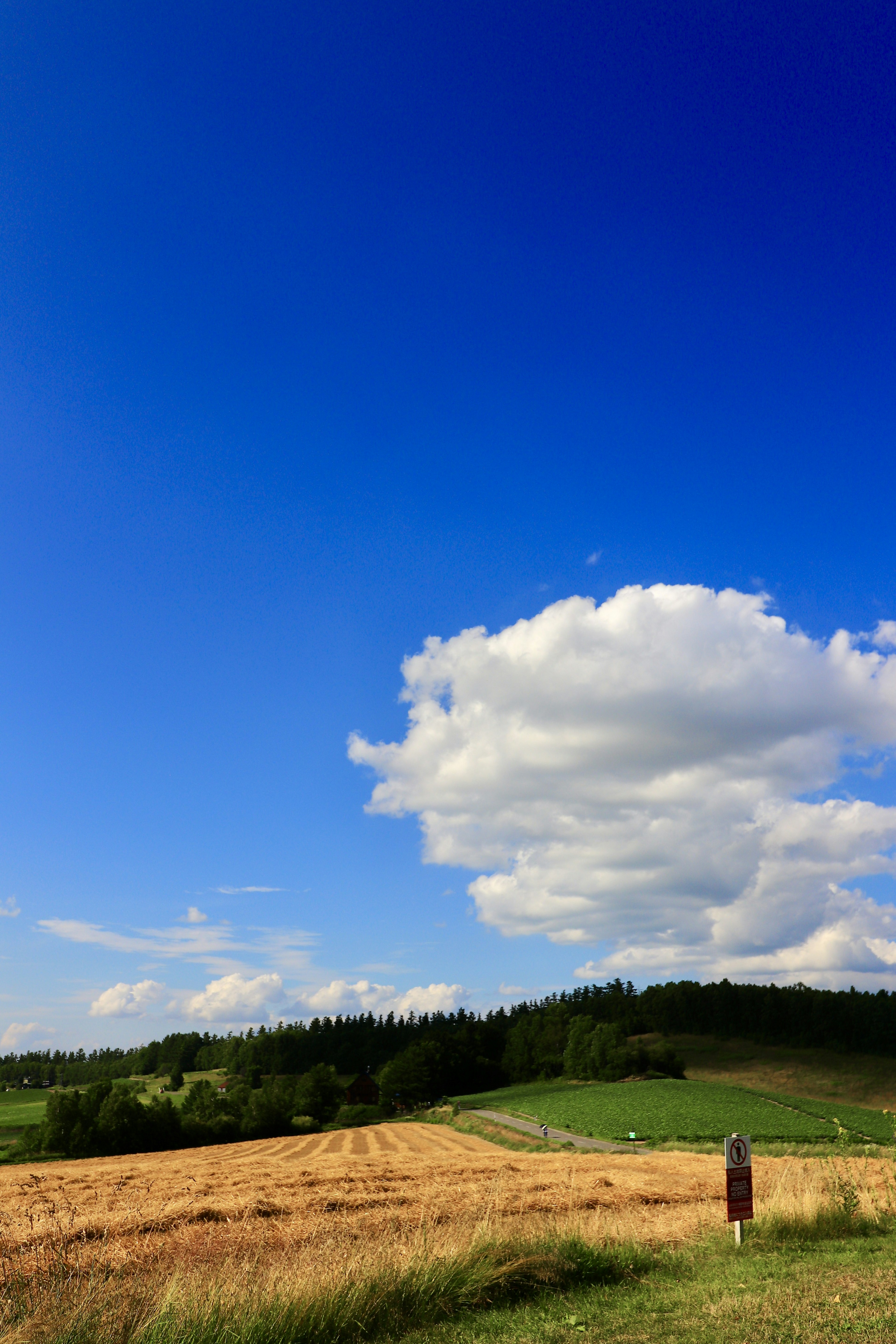 Beautiful landscape with blue sky and white clouds featuring grain fields and green hills