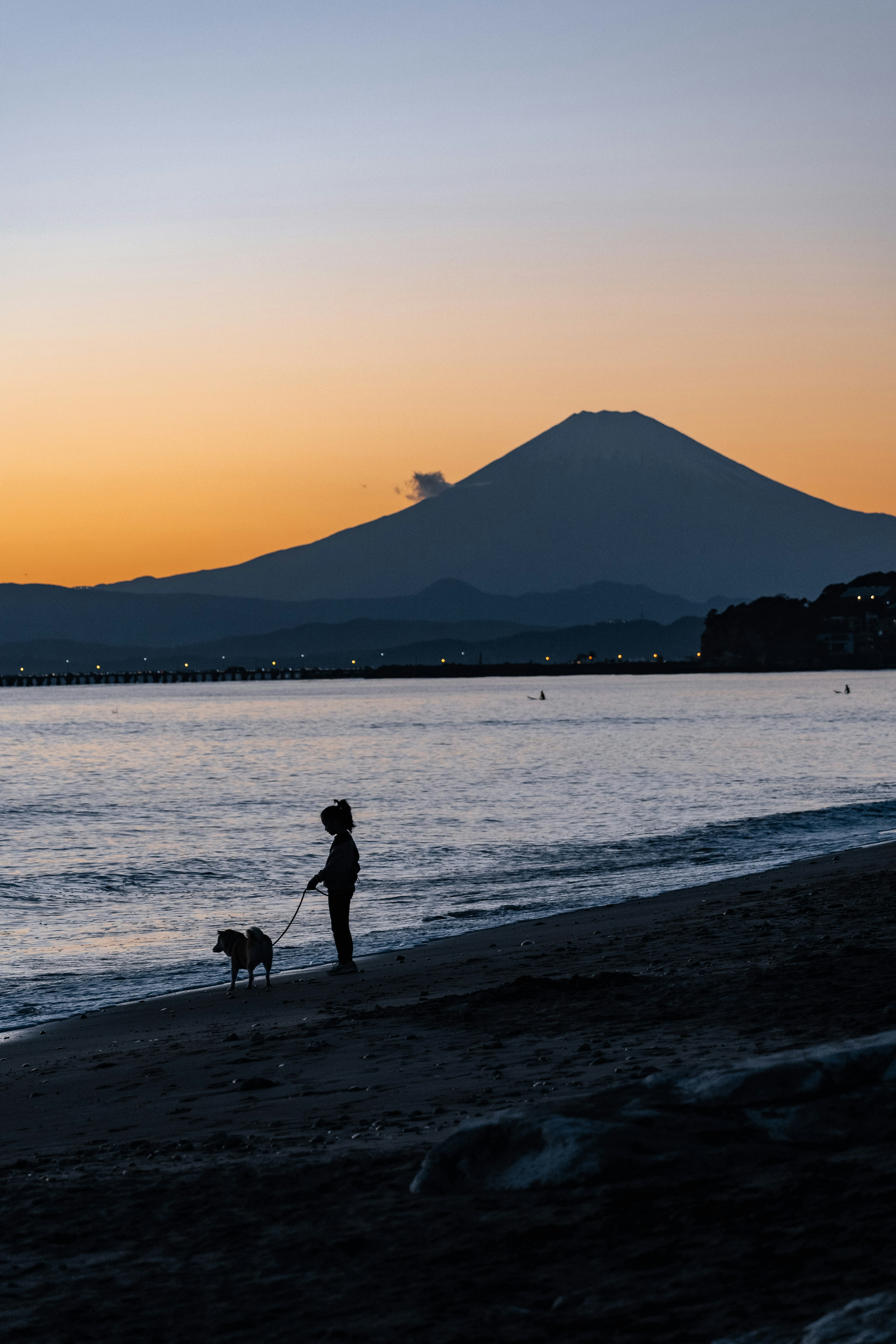 夕日が沈む海岸で犬と一緒に立つ人物と富士山のシルエット