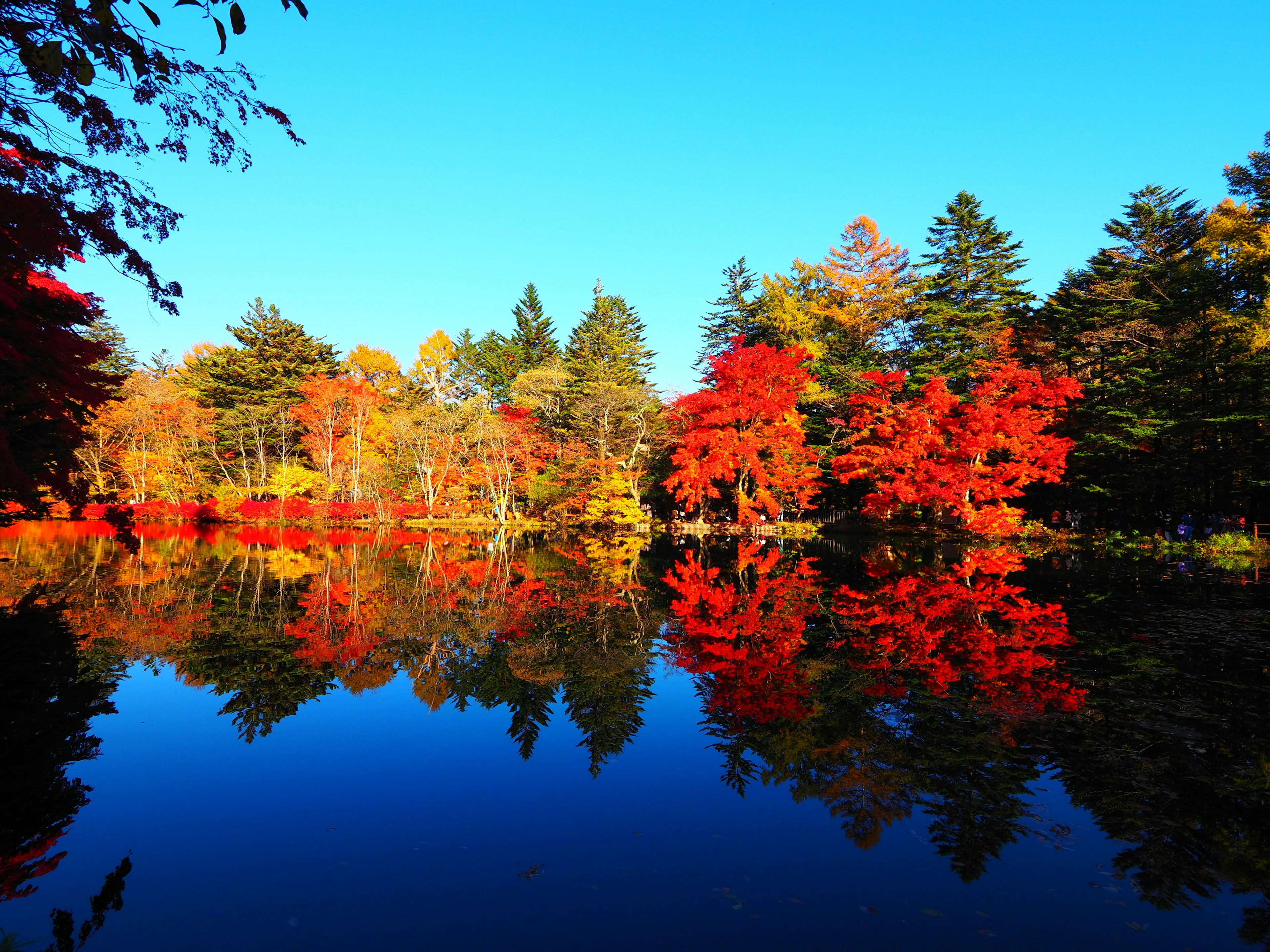 Vista panoramica di foglie d'autunno riflesse in un lago tranquillo