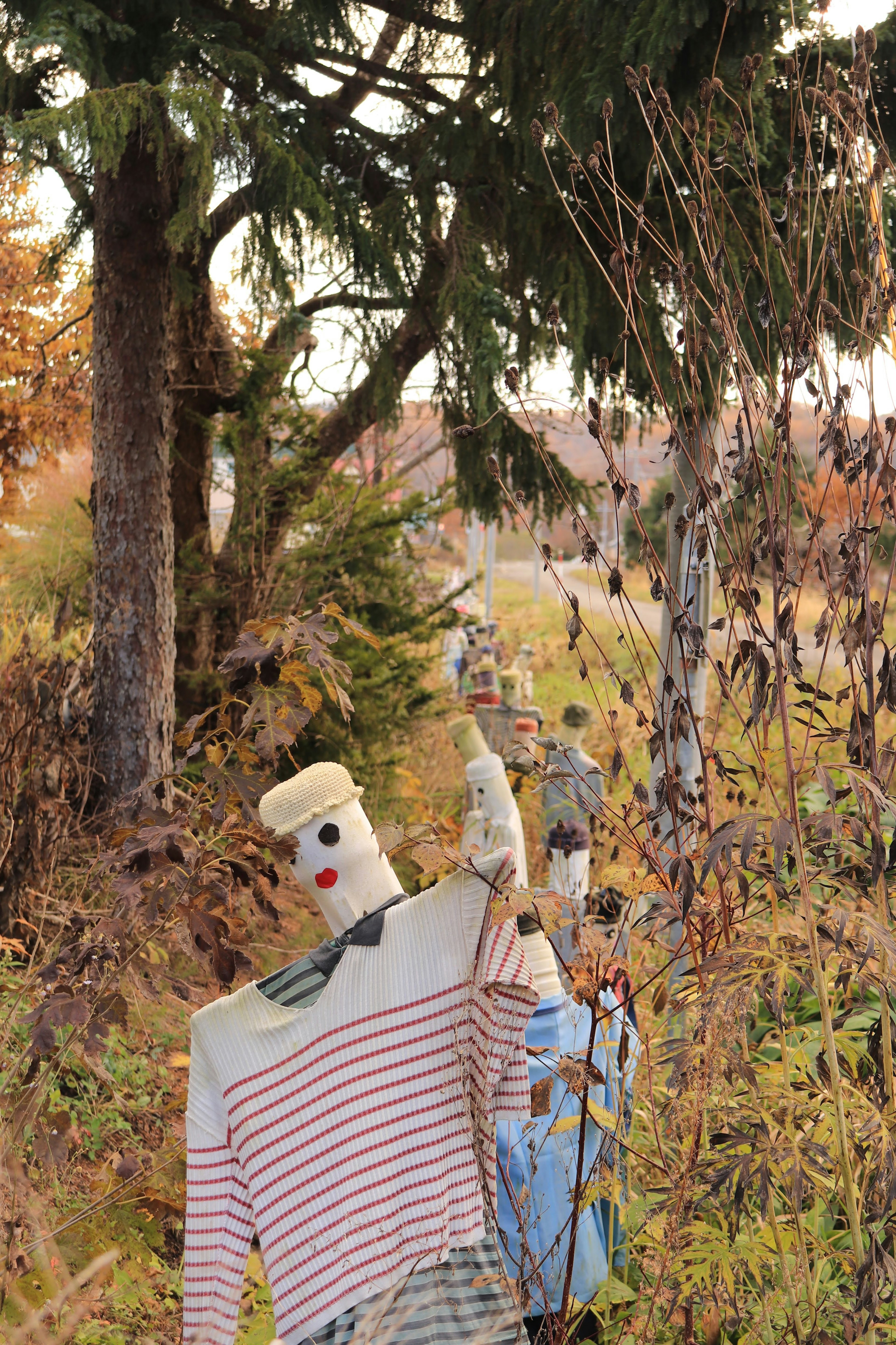 Scarecrow wearing a striped shirt in an autumn landscape