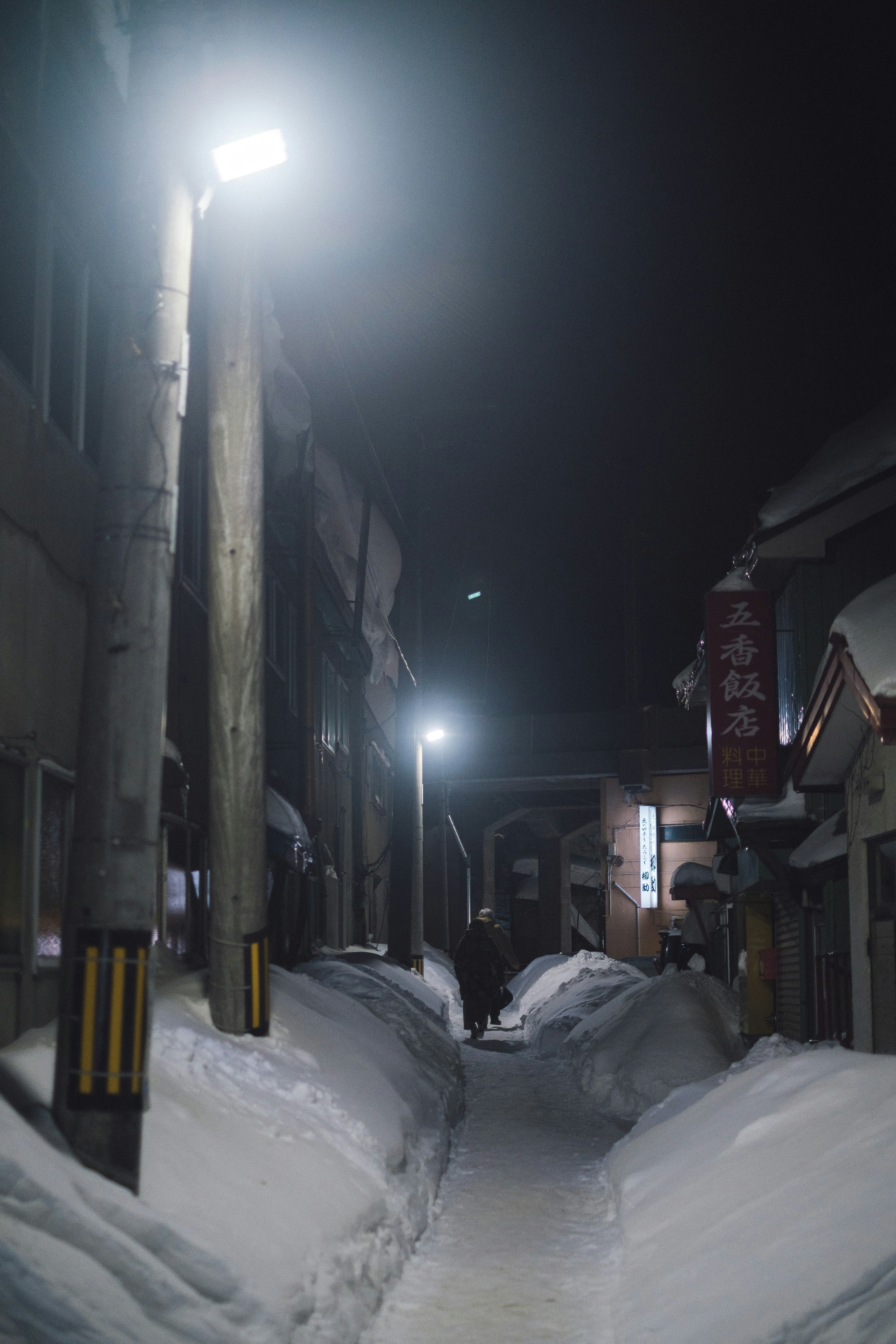 雪に覆われた夜の小道に立つ街灯と建物が映る