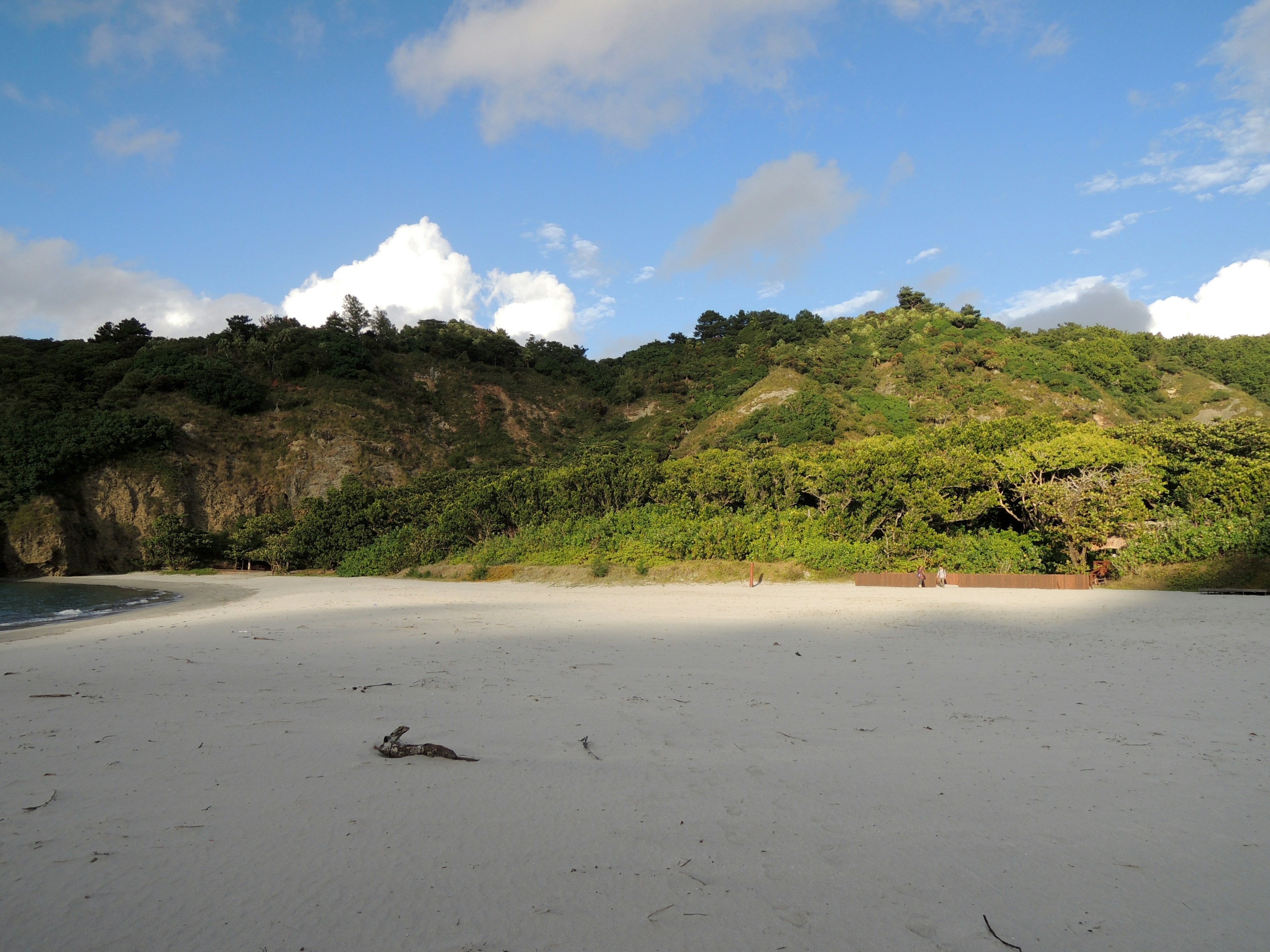 Vue panoramique d'une plage de sable blanc entourée d'une végétation luxuriante et d'un ciel bleu