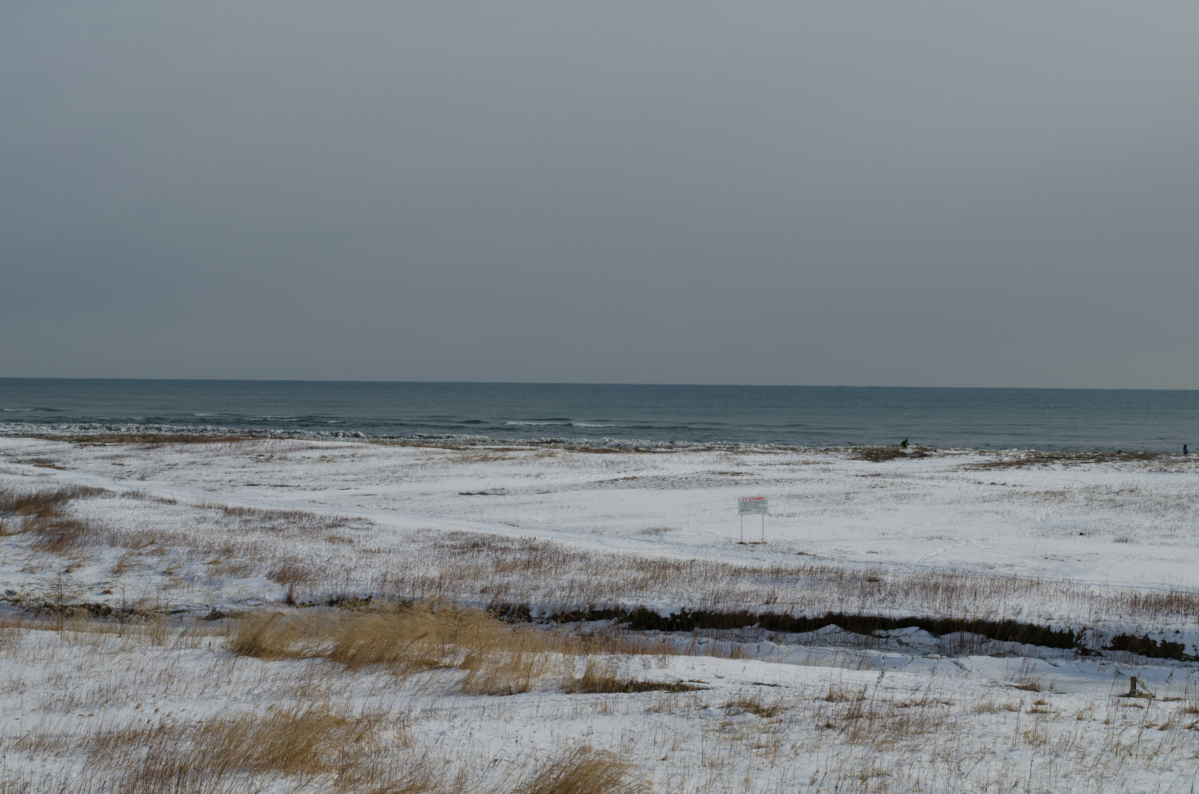 Prairie enneigée avec vue sur la mer calme