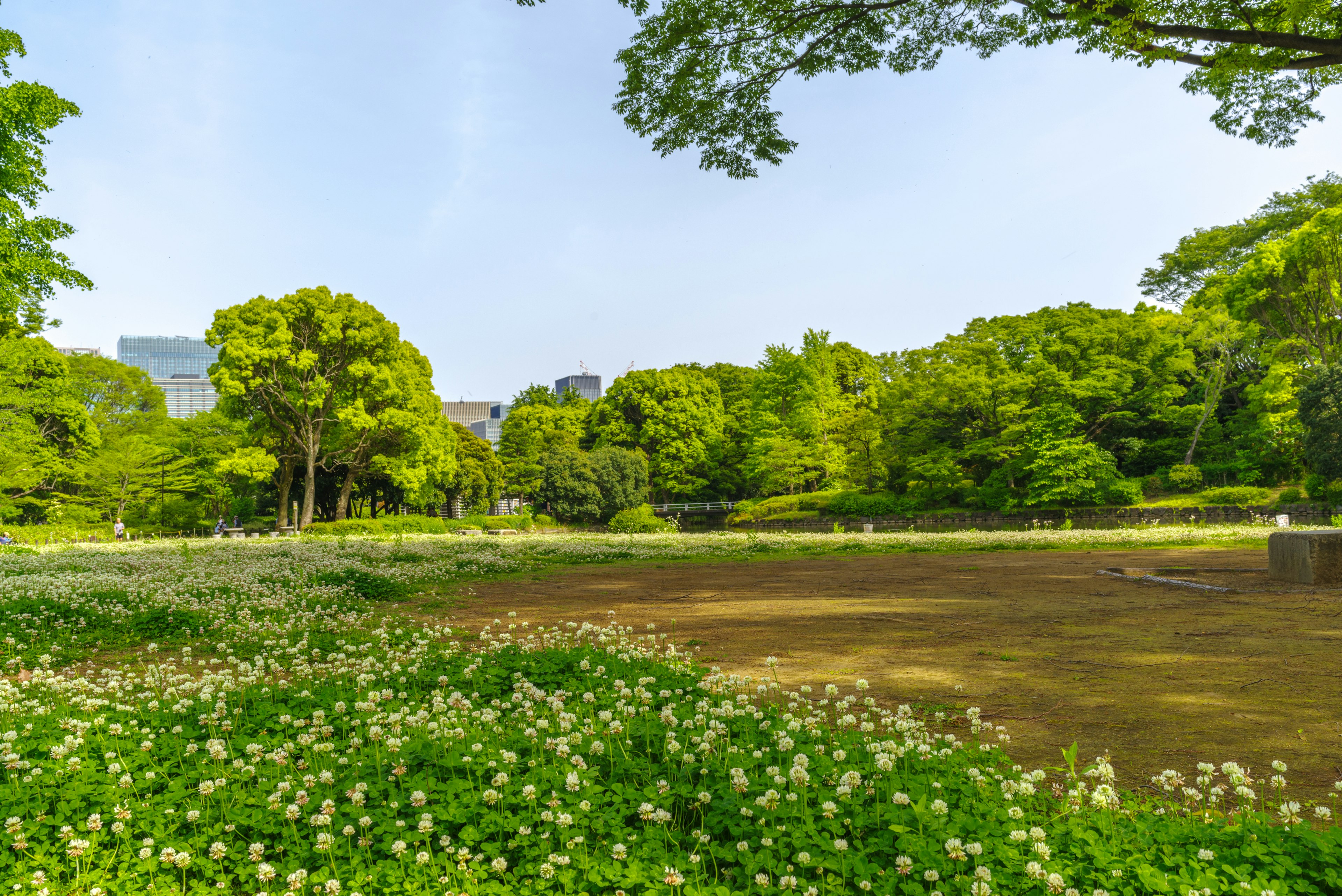 緑豊かな公園の風景と花畑