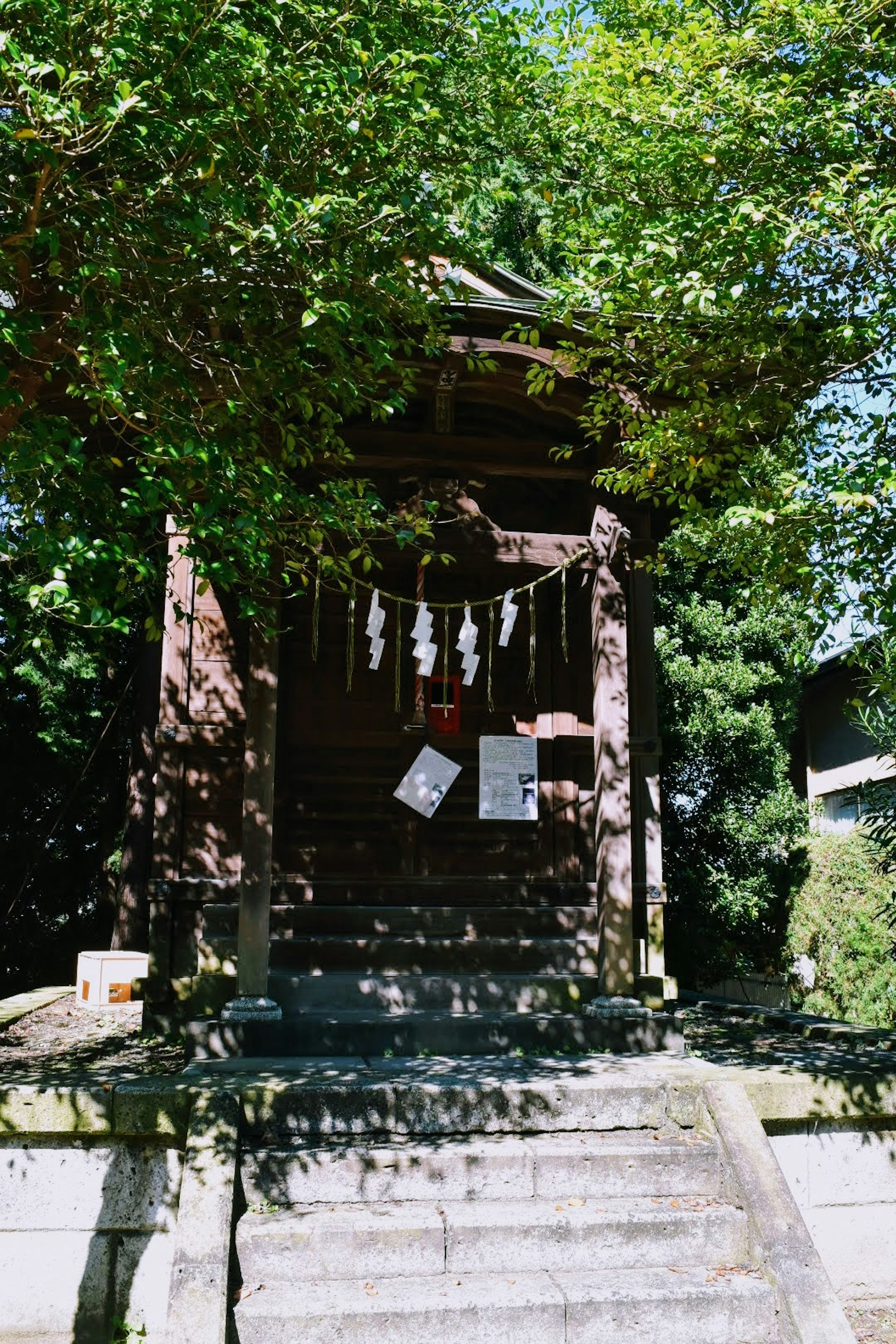 一個被郁郁蔥蔥的樹木和石階環繞的小神社