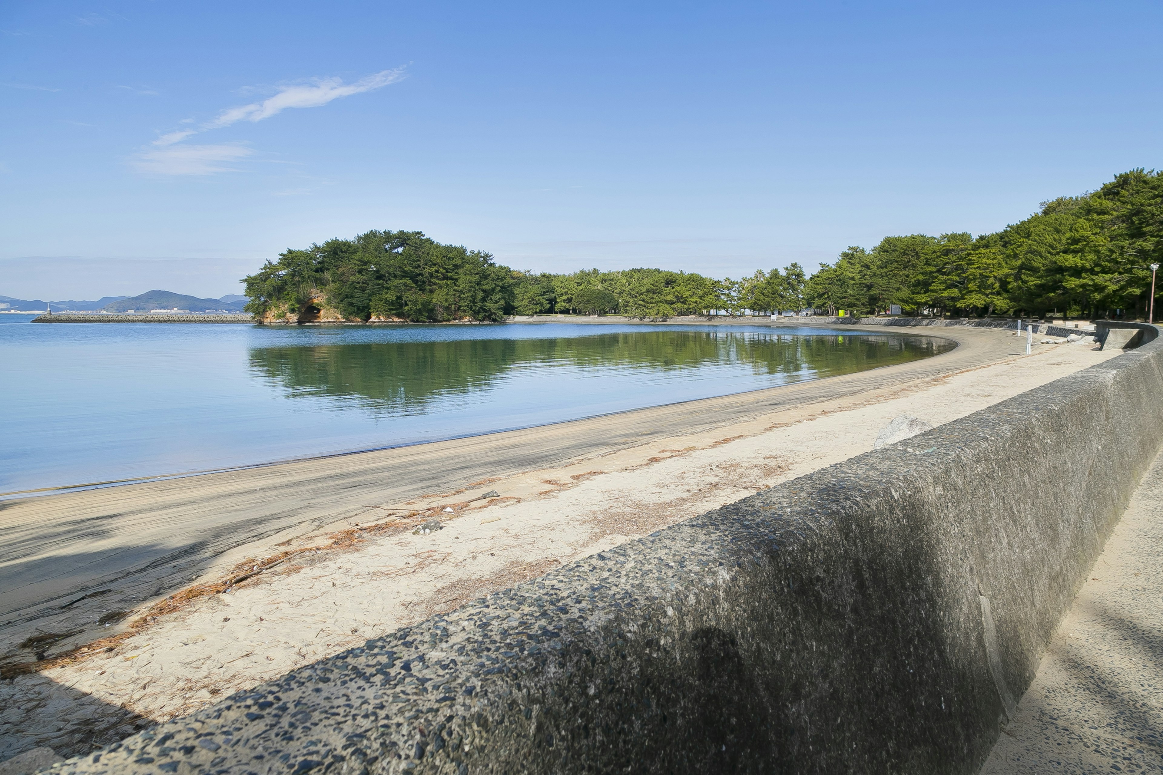 Calm beach scene with blue sky sandy shore and green trees