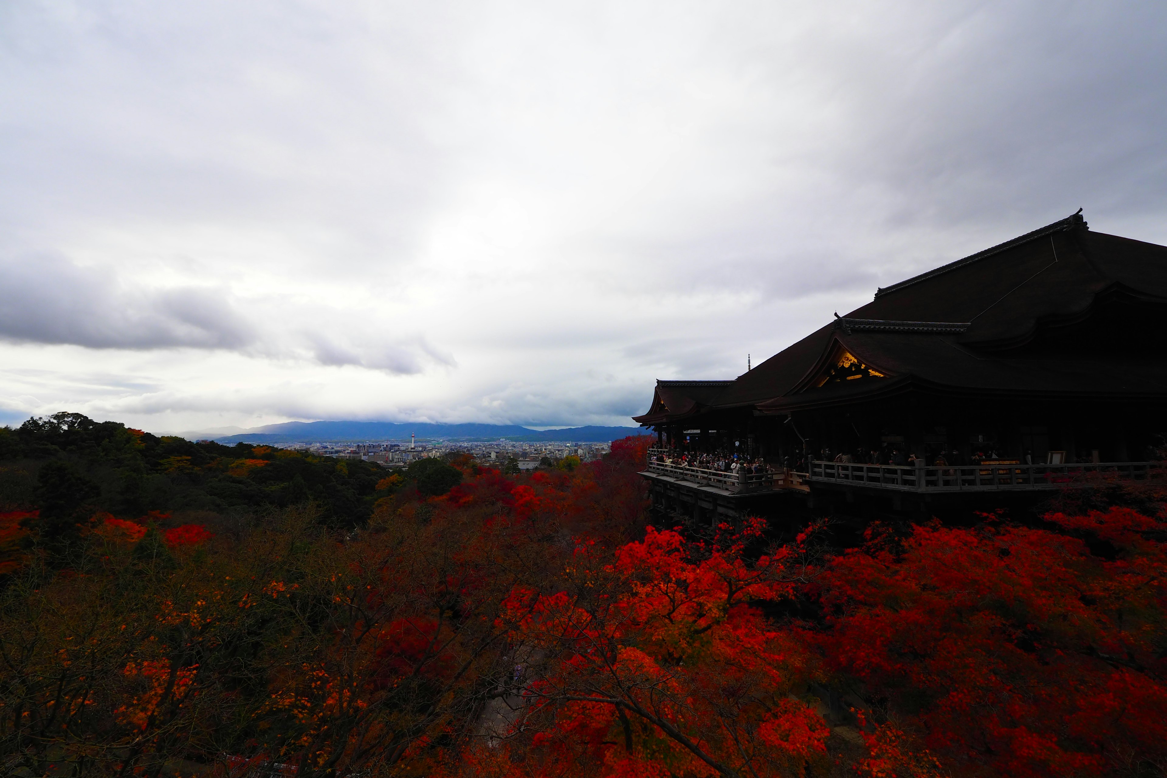 紅葉の美しい景色と古い建物の風景