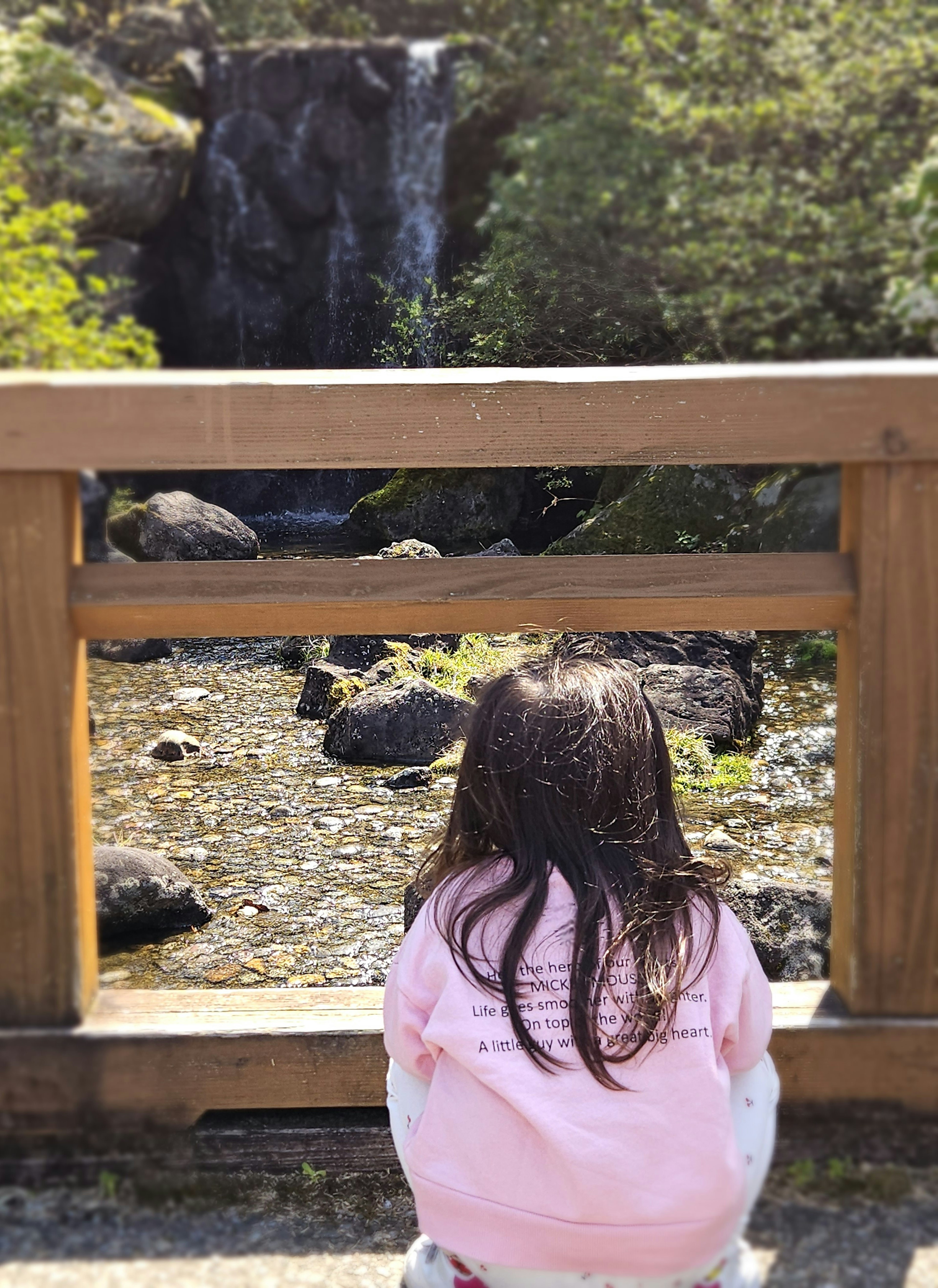 小さな女の子が木製のフェンスの前に座り川を見つめている風景