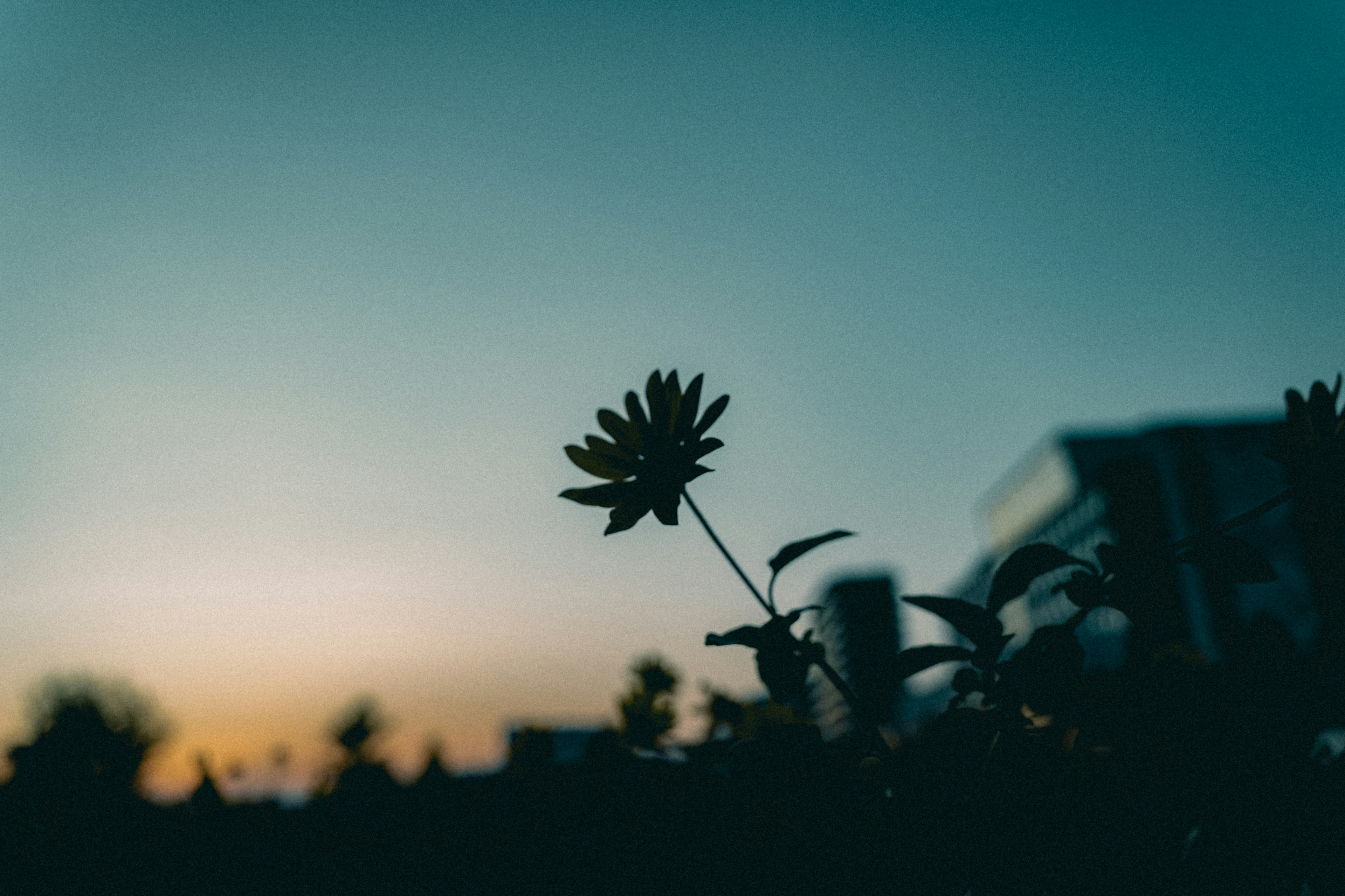 photo-XeqzVKKiwQqzHT0g7RPc-image