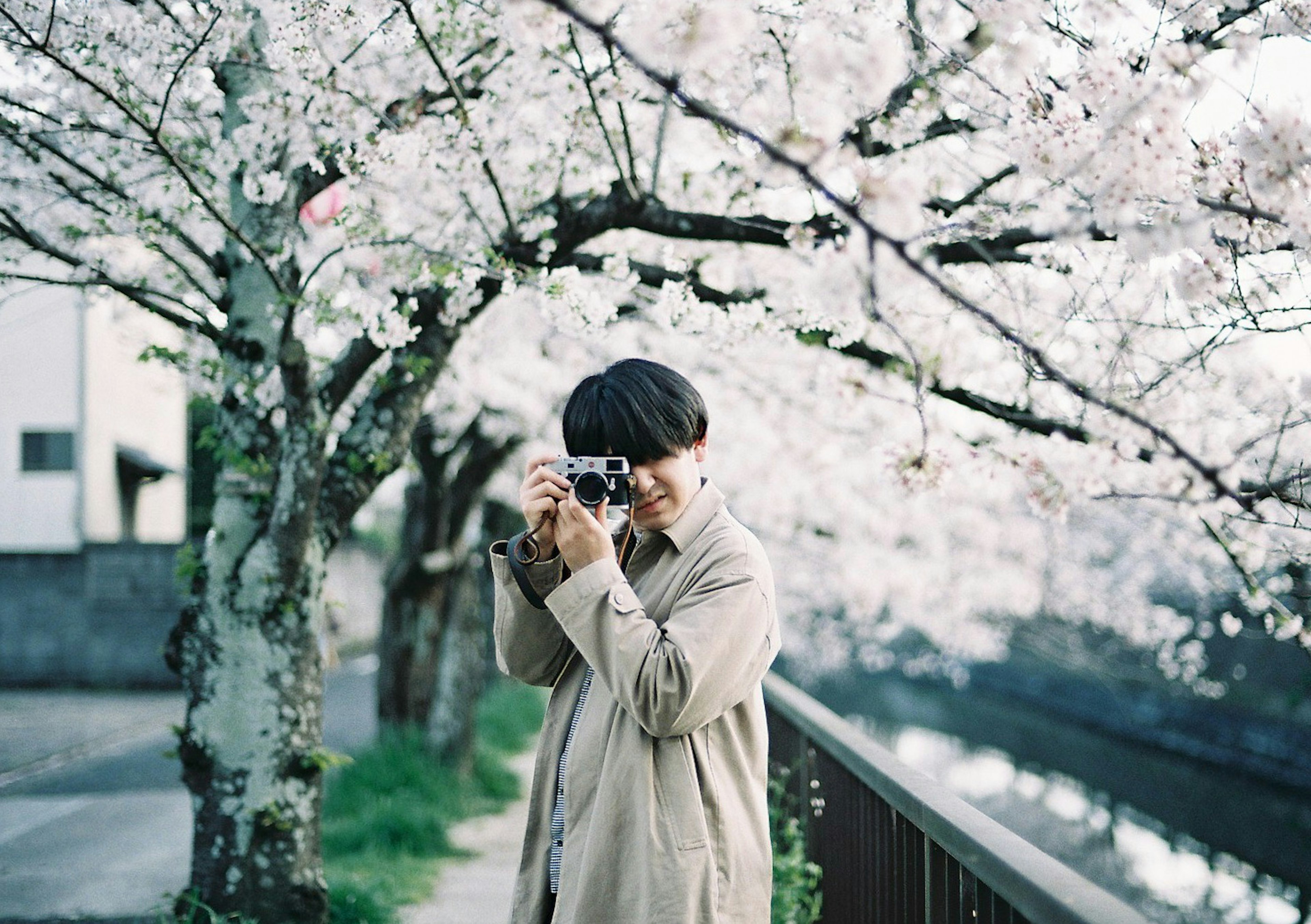 桜の木の下でカメラを持つ若い男性