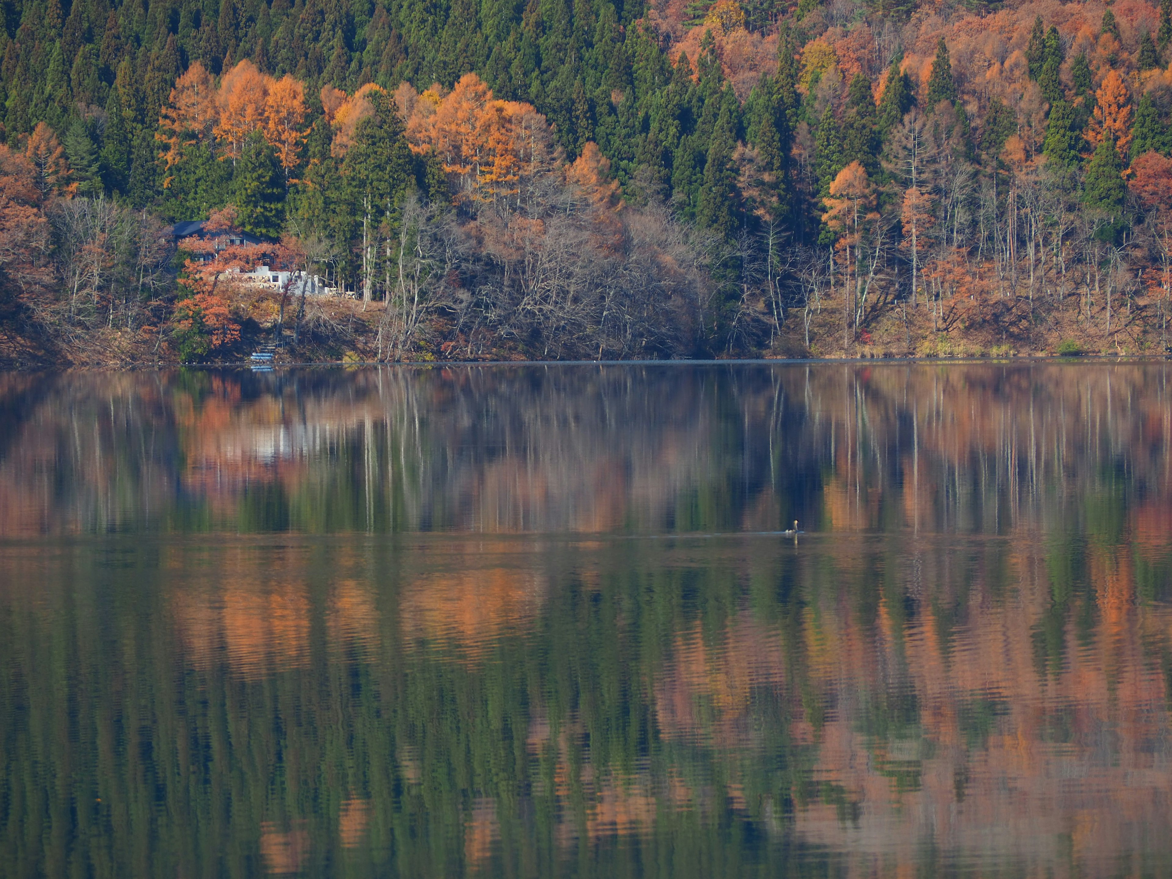 Un paysage automnal pittoresque reflété dans un lac calme montrant des arbres vibrants