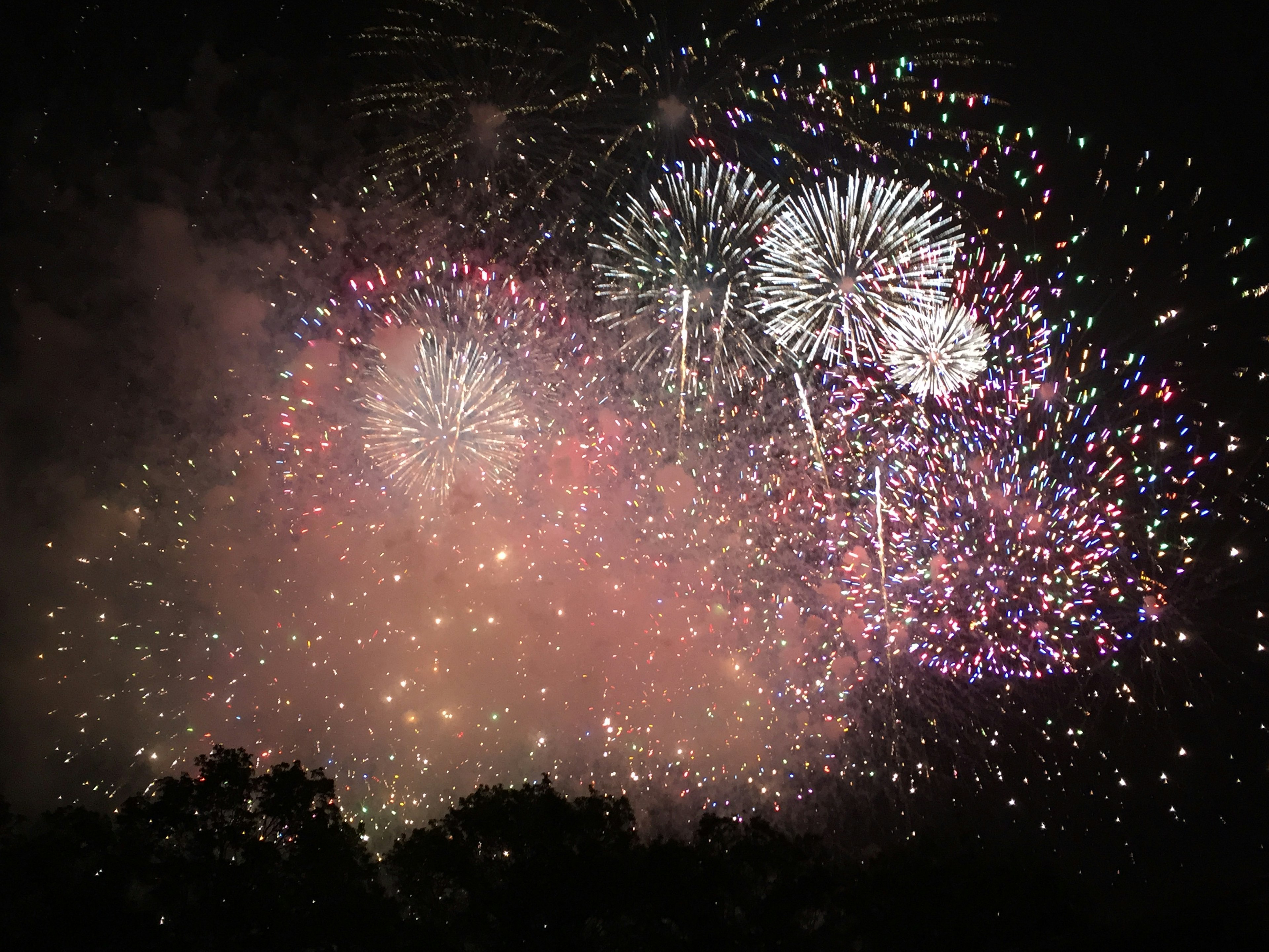 Bunte Feuerwerksvorführung, die den Nachthimmel erhellt