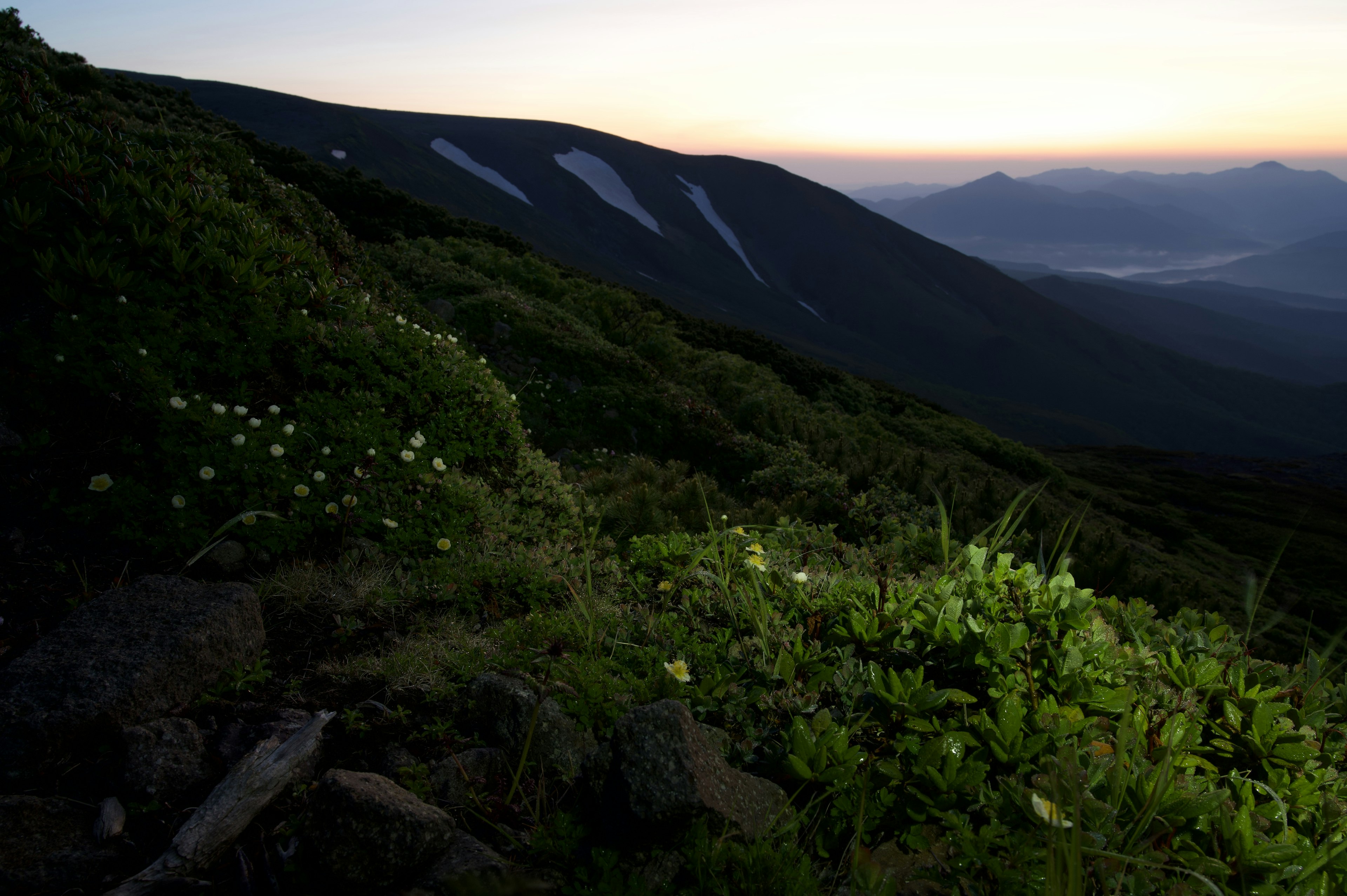 Paisaje montañoso al atardecer con plantas y laderas visibles