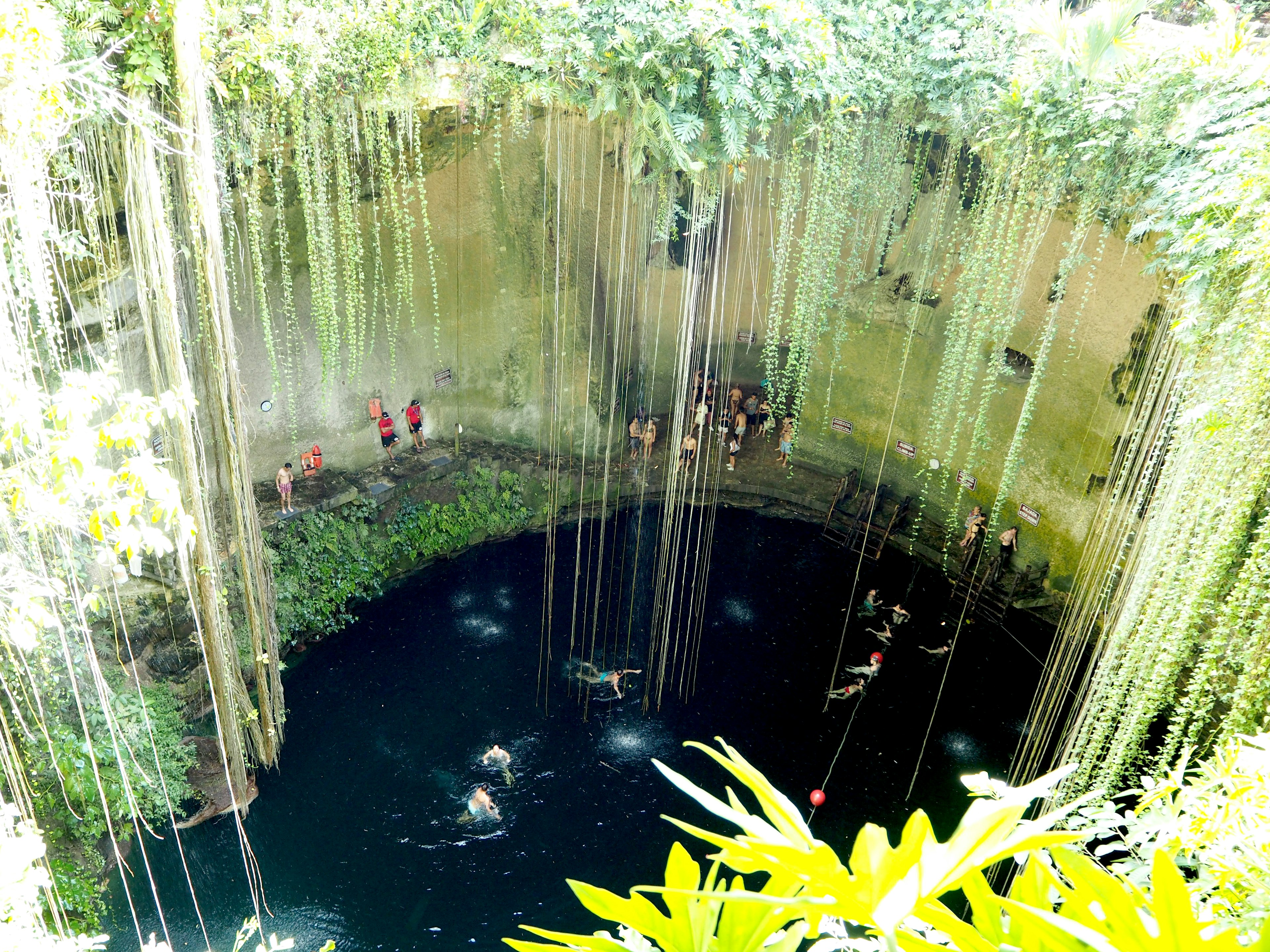 美しいセノーテの景色で、緑の植物が周囲を覆い、青い水が底に見える