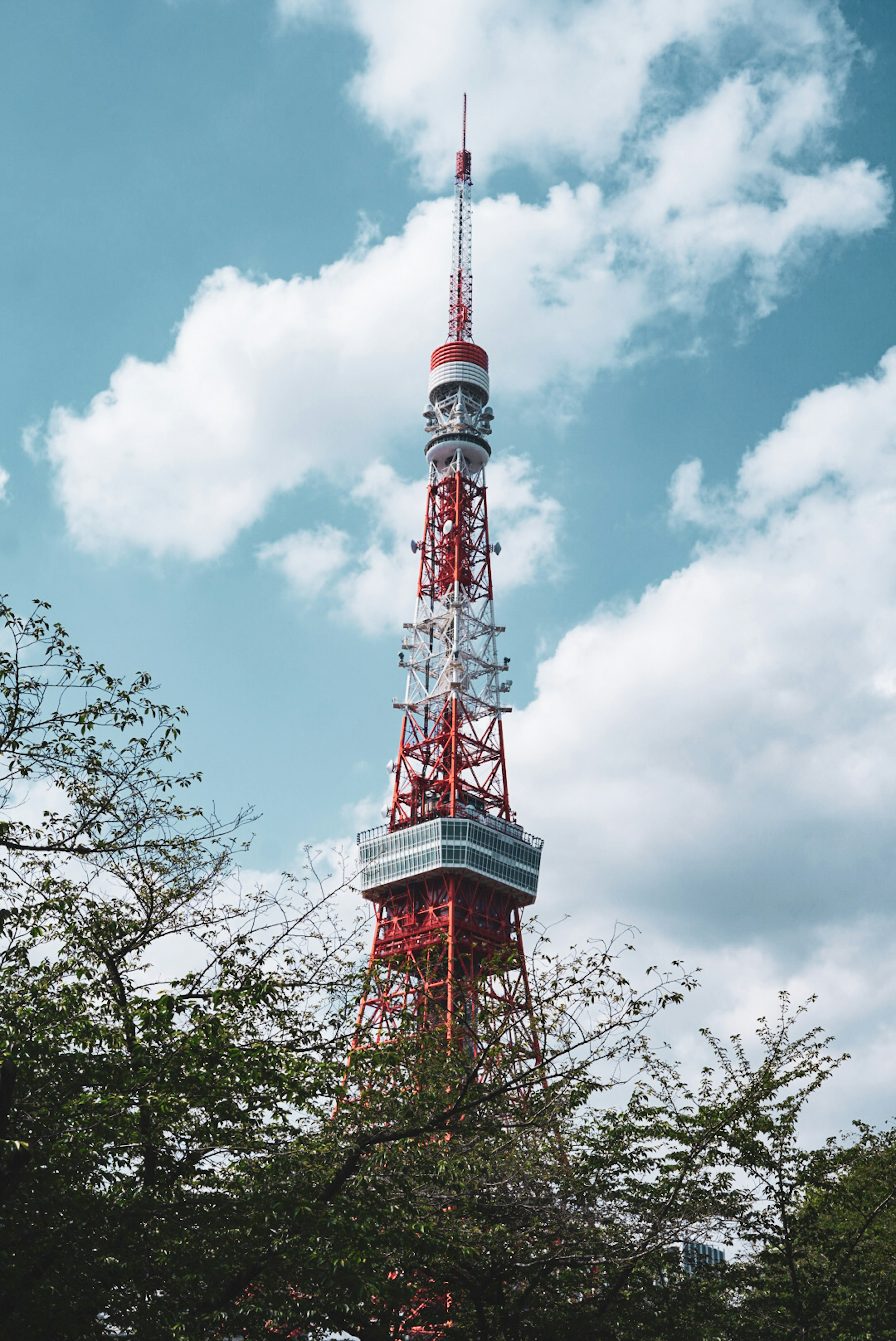 東京タワーの赤い塔が青空の下にそびえ立つ