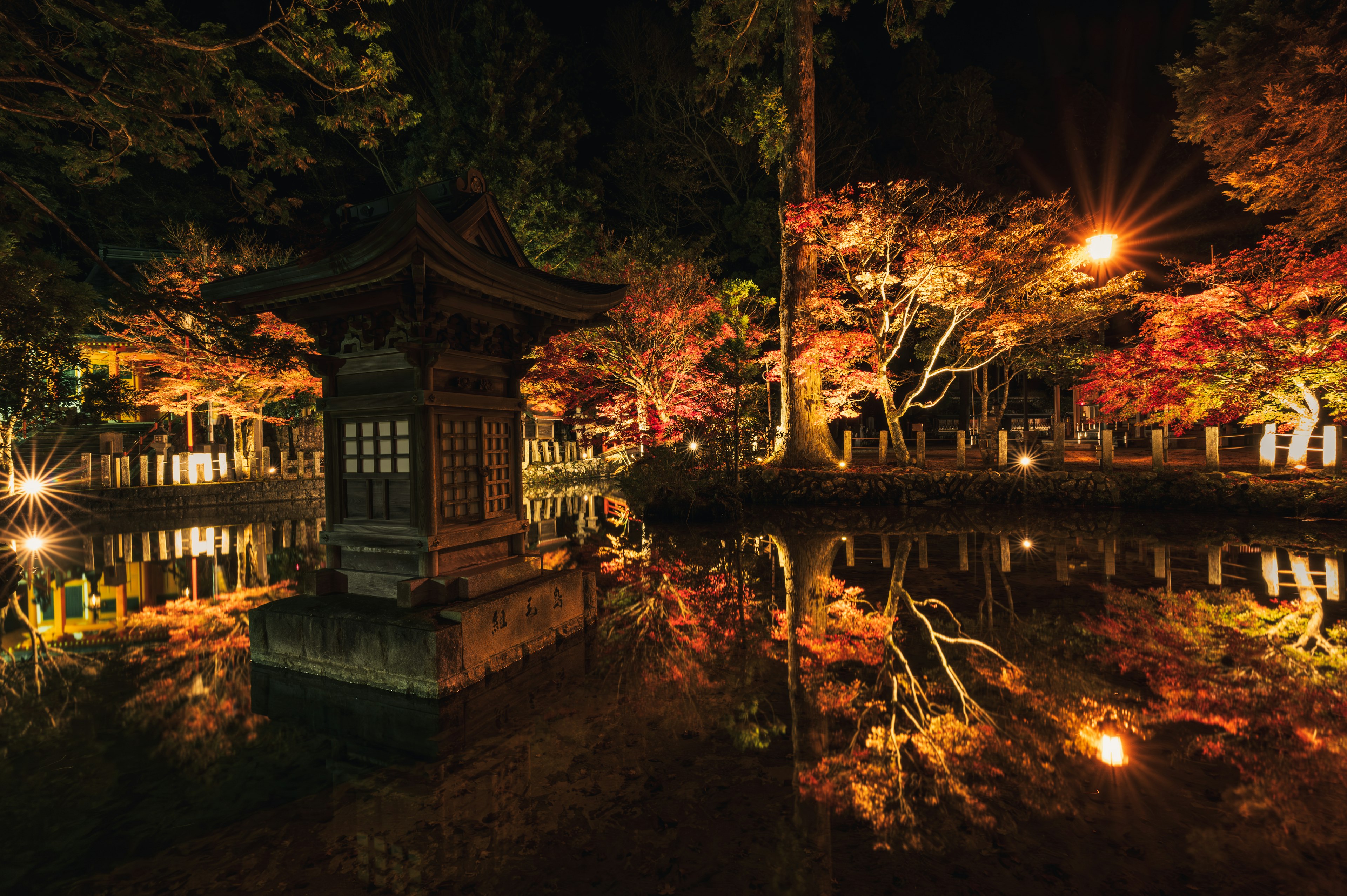 夜の池に映る紅葉と灯りの美しい景色