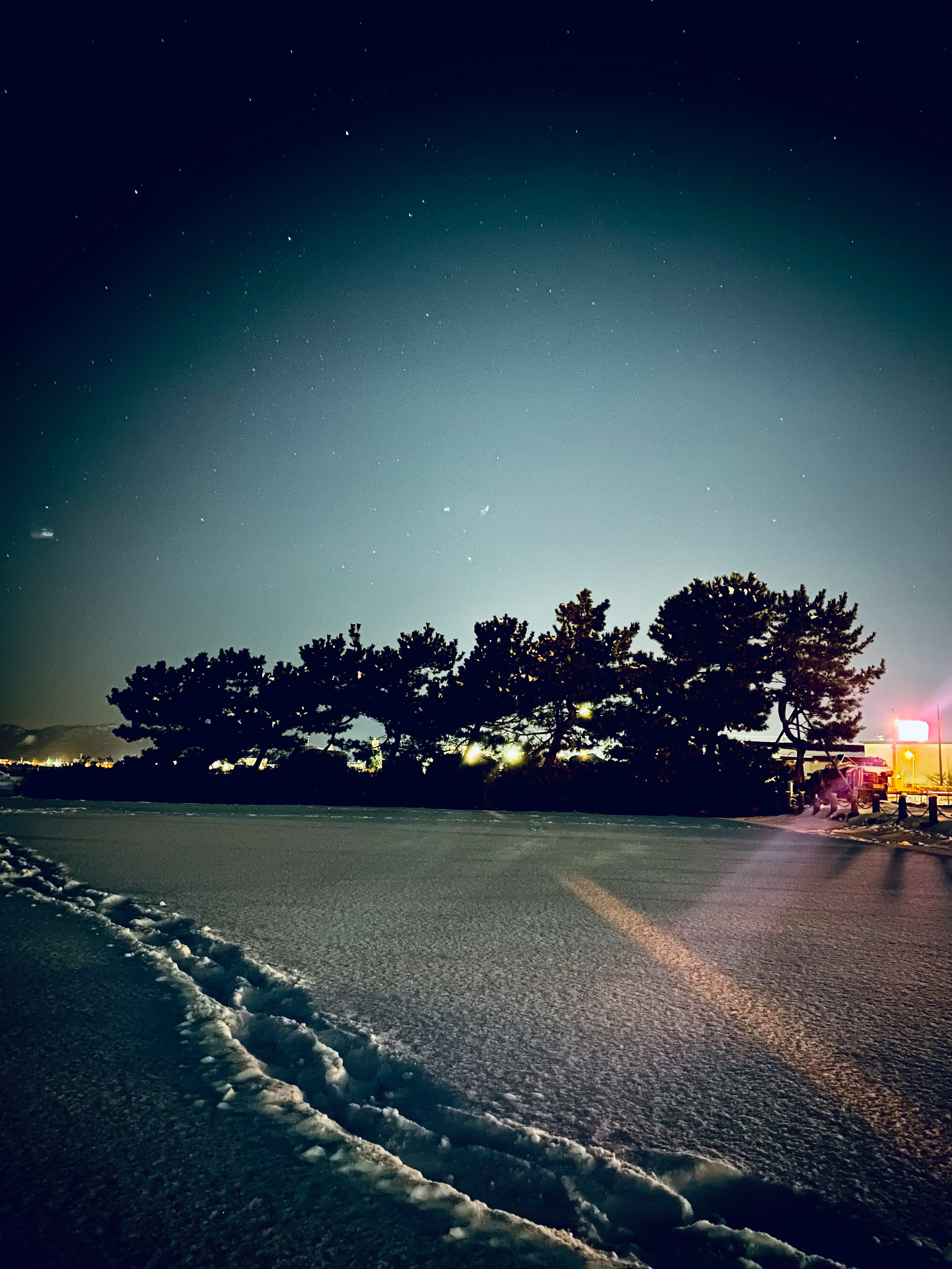 夜空の下に広がる静かな風景と木々のシルエット