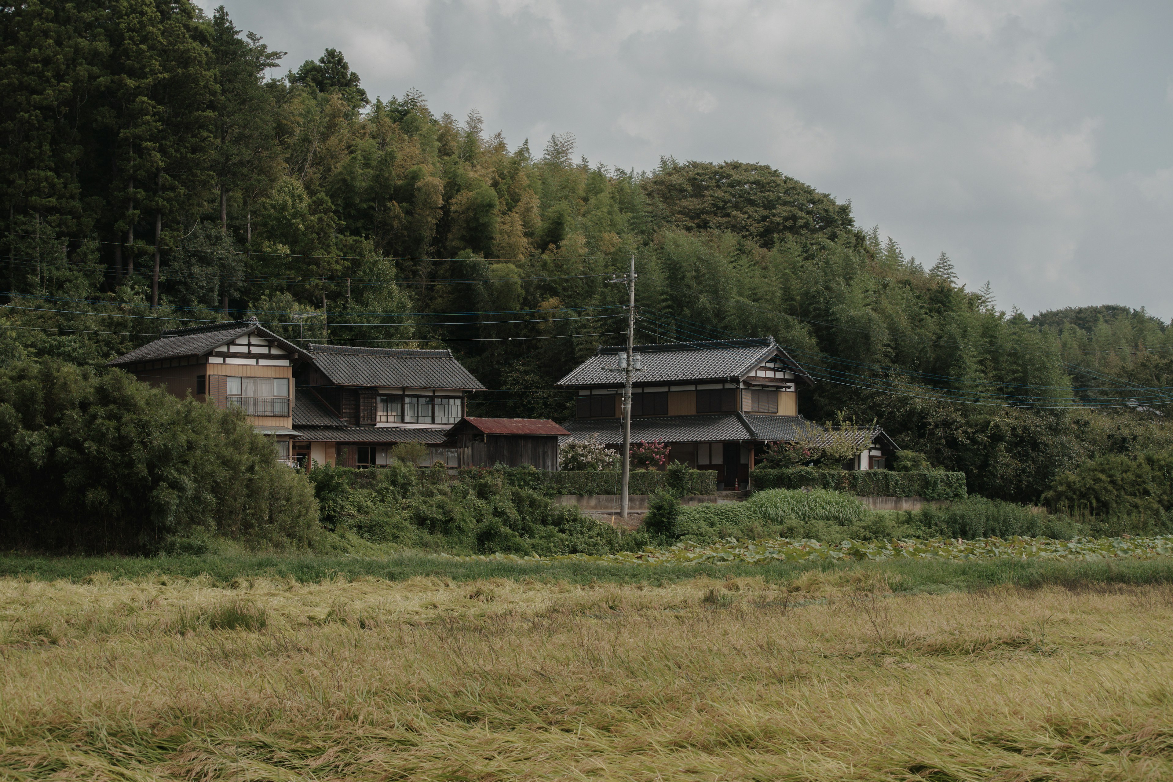 Rumah tradisional Jepang dikelilingi oleh pemandangan pedesaan