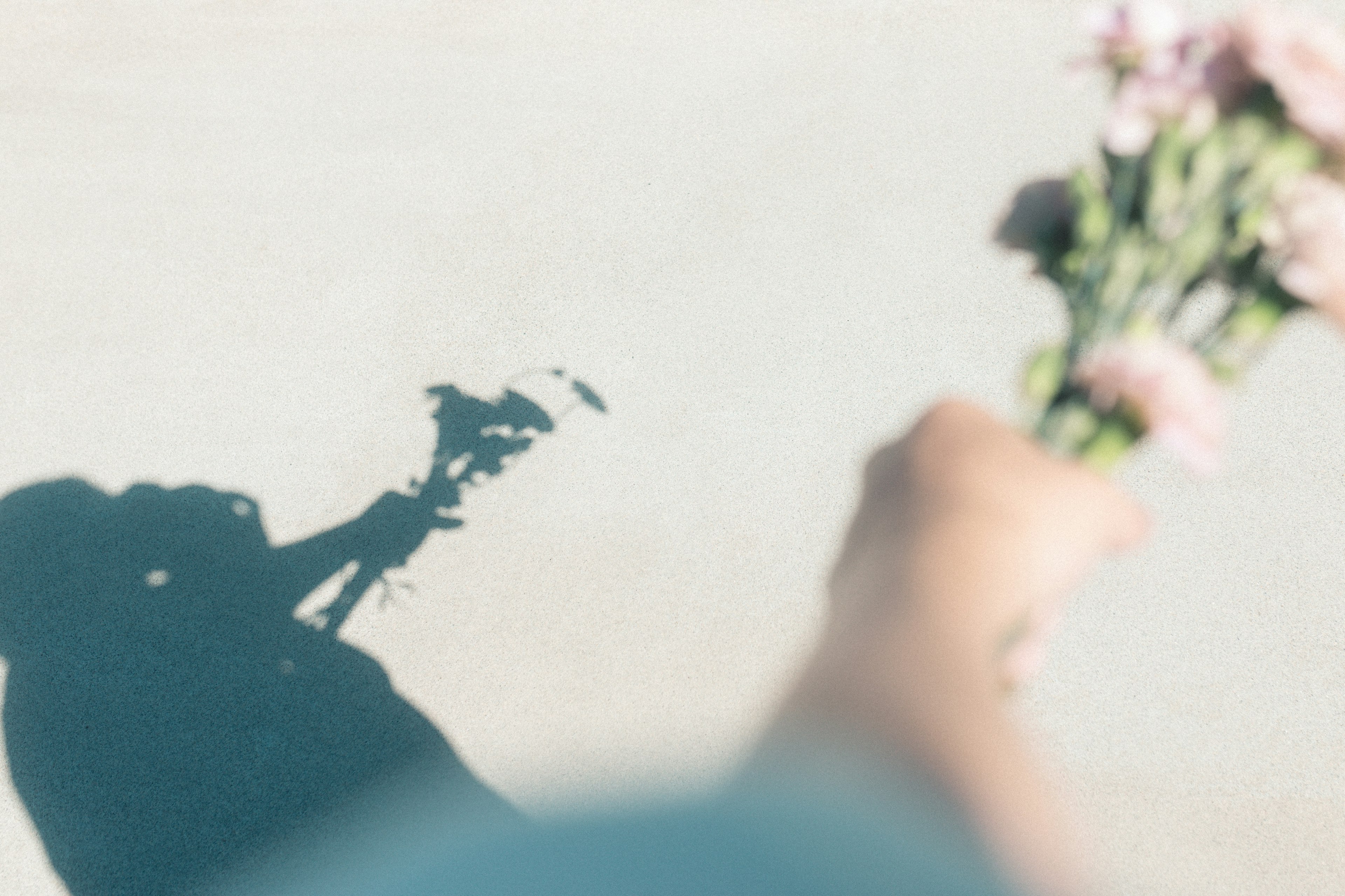 手に持った花束の影が映るシンプルな背景の画像