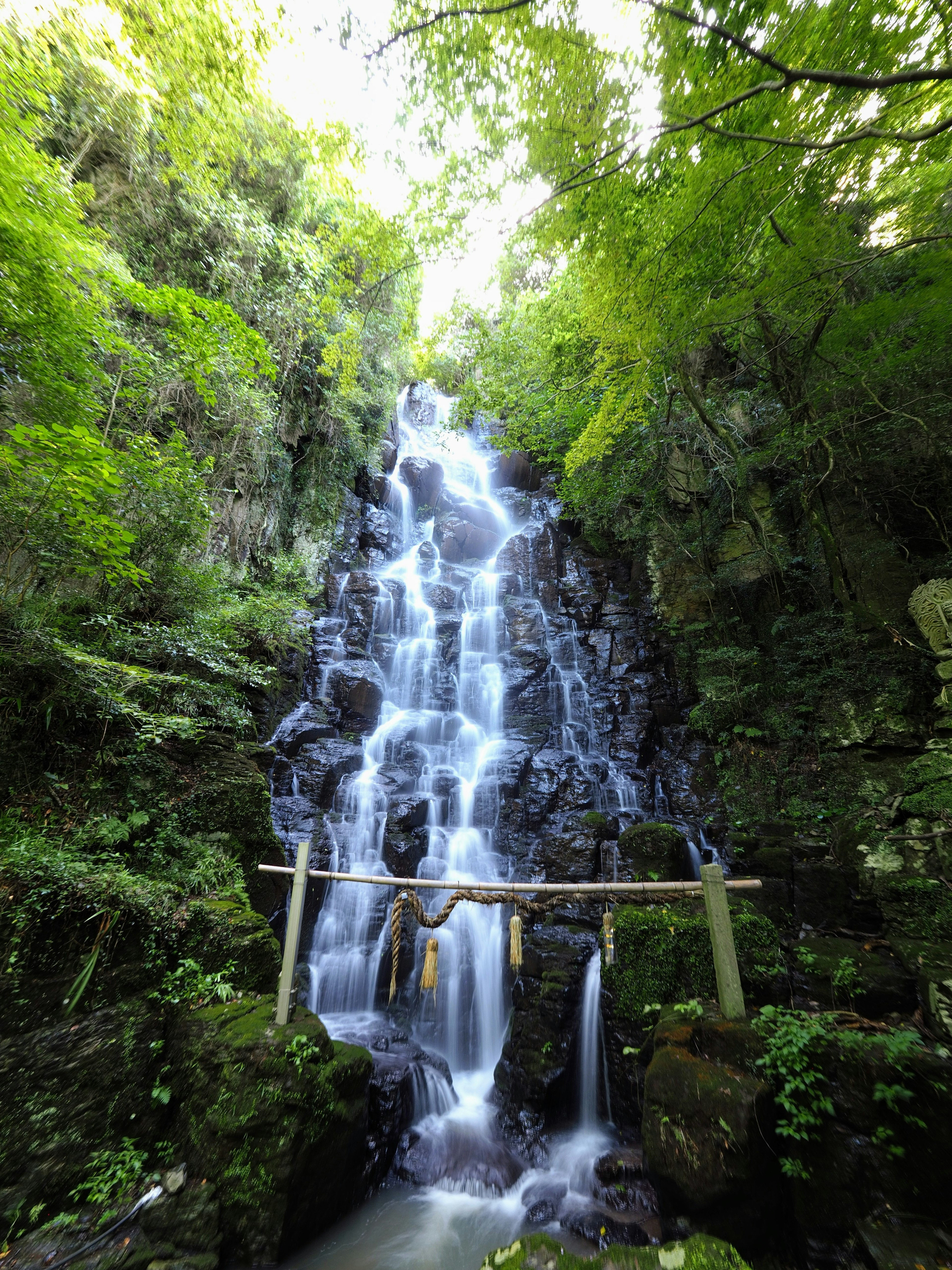 Wasserfall, der über Felsen fließt, umgeben von üppigem Grün