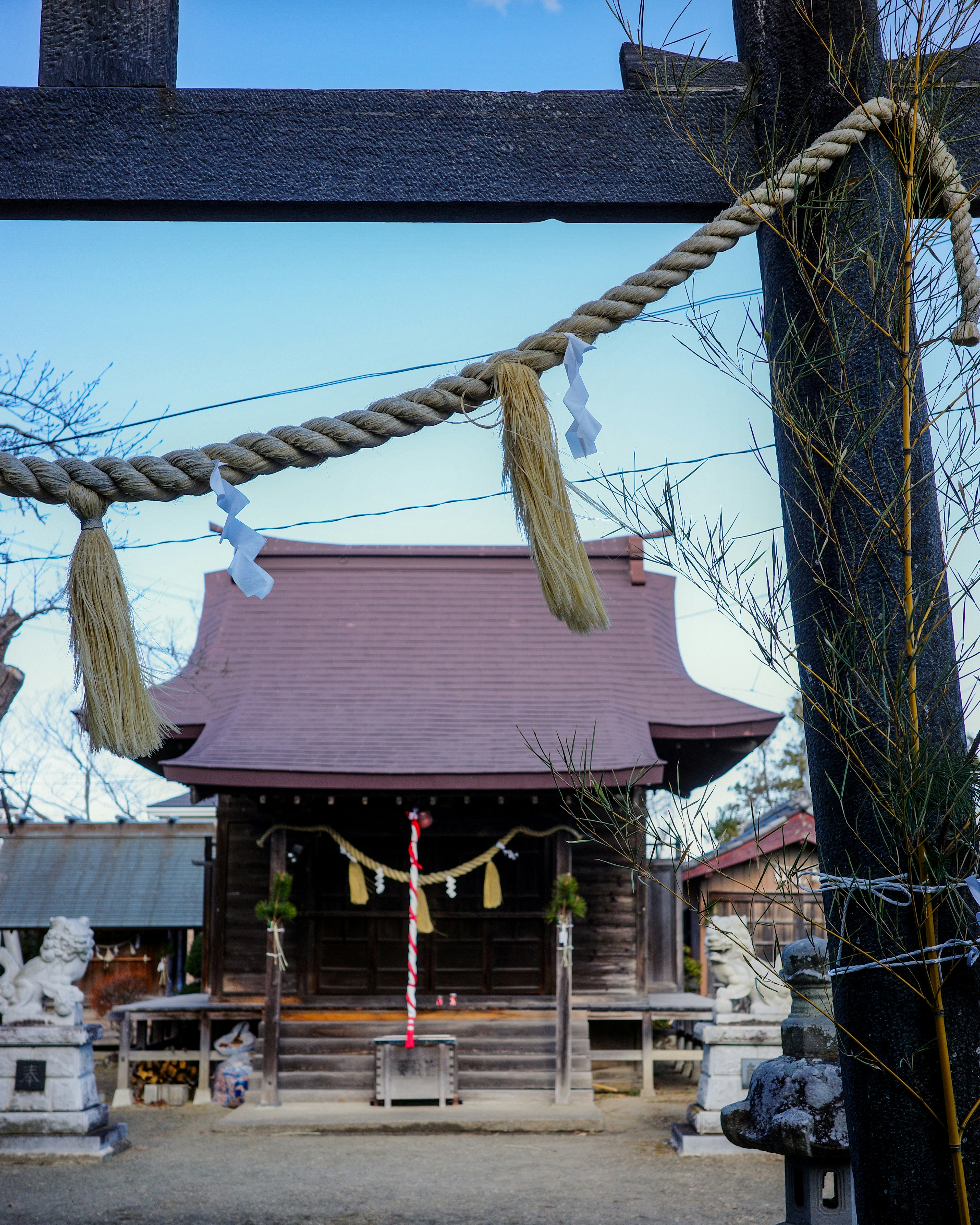 神社の鳥居と伝統的な屋根の建物が見える風景