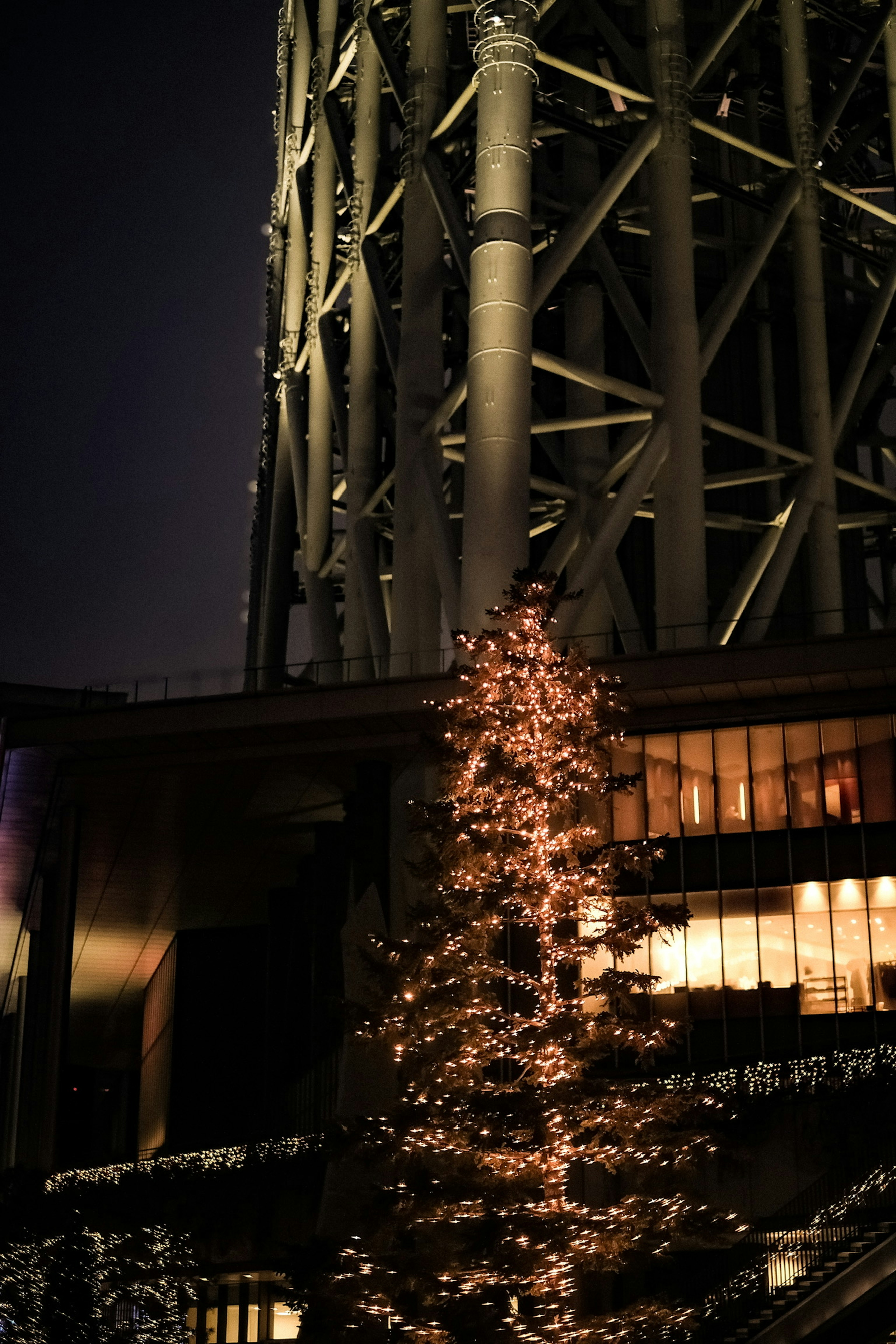 Beleuchteter Weihnachtsbaum bei Nacht neben einem modernen Gebäude