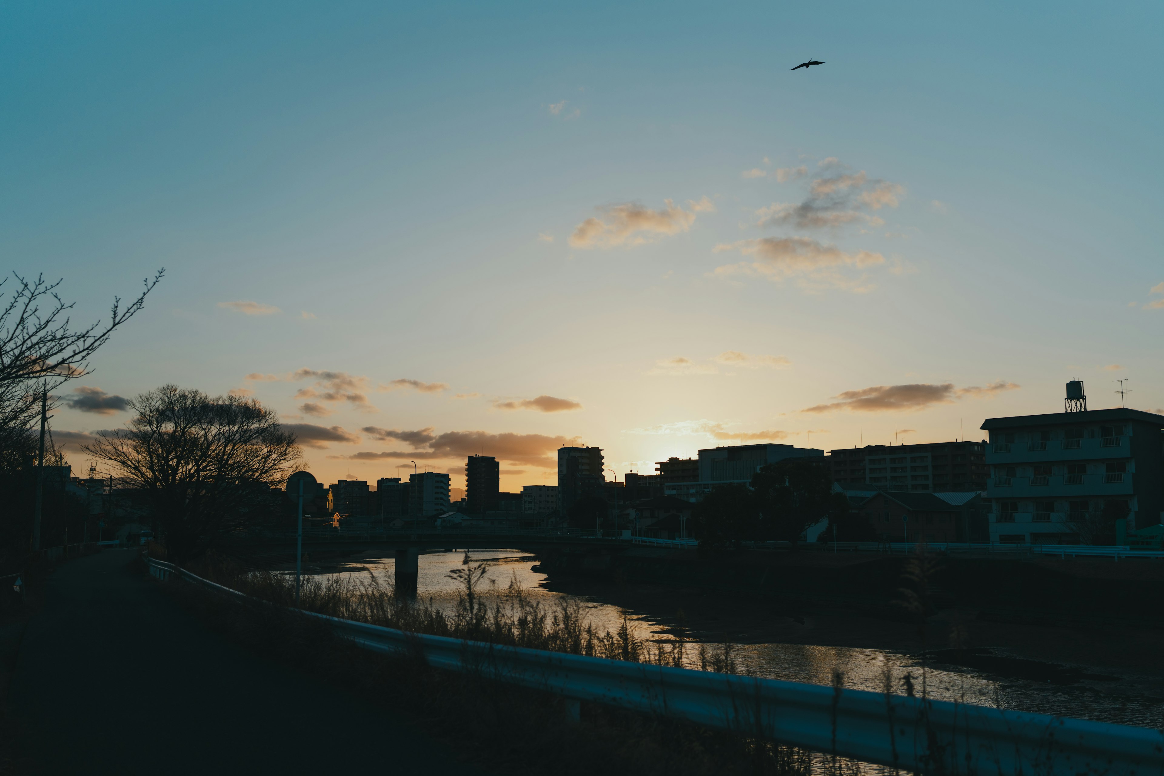 川沿いの夕暮れ時の風景と建物のシルエット