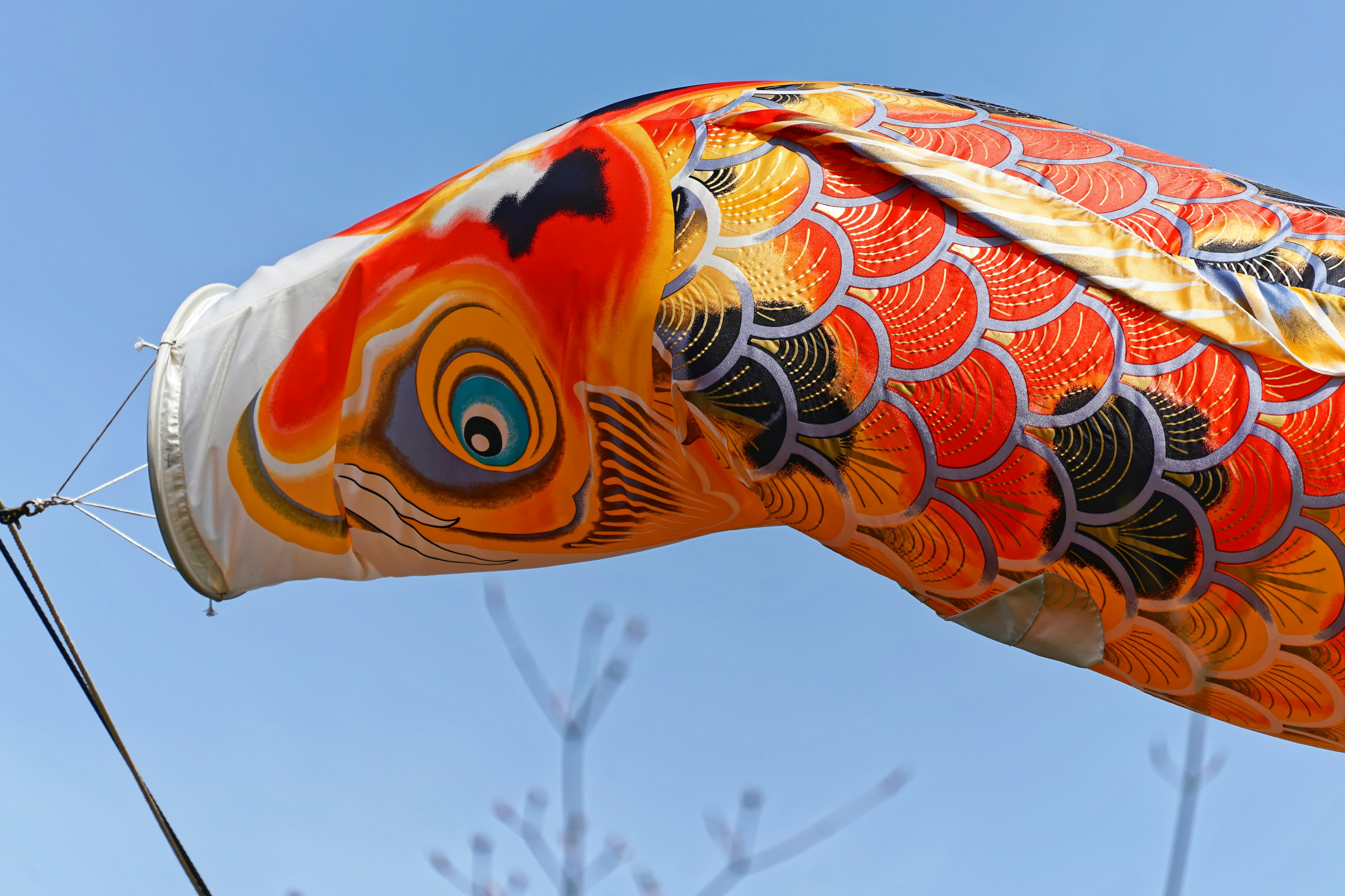 Colorful koi fish windsock against a blue sky