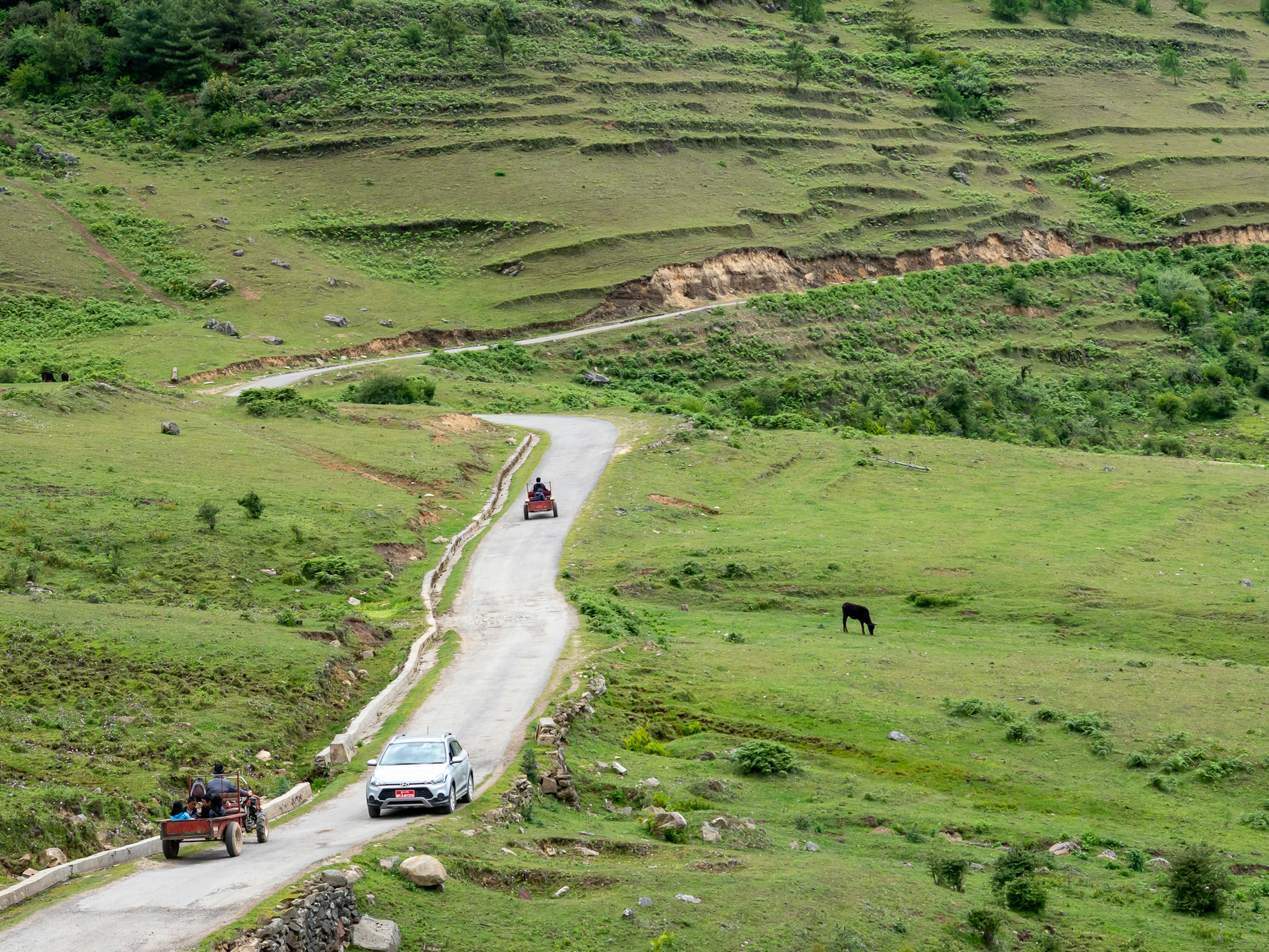 Vue pittoresque d'une voiture et d'une charrette tirée par un cheval sur une route sinueuse à travers des collines vertes avec des champs en terrasses